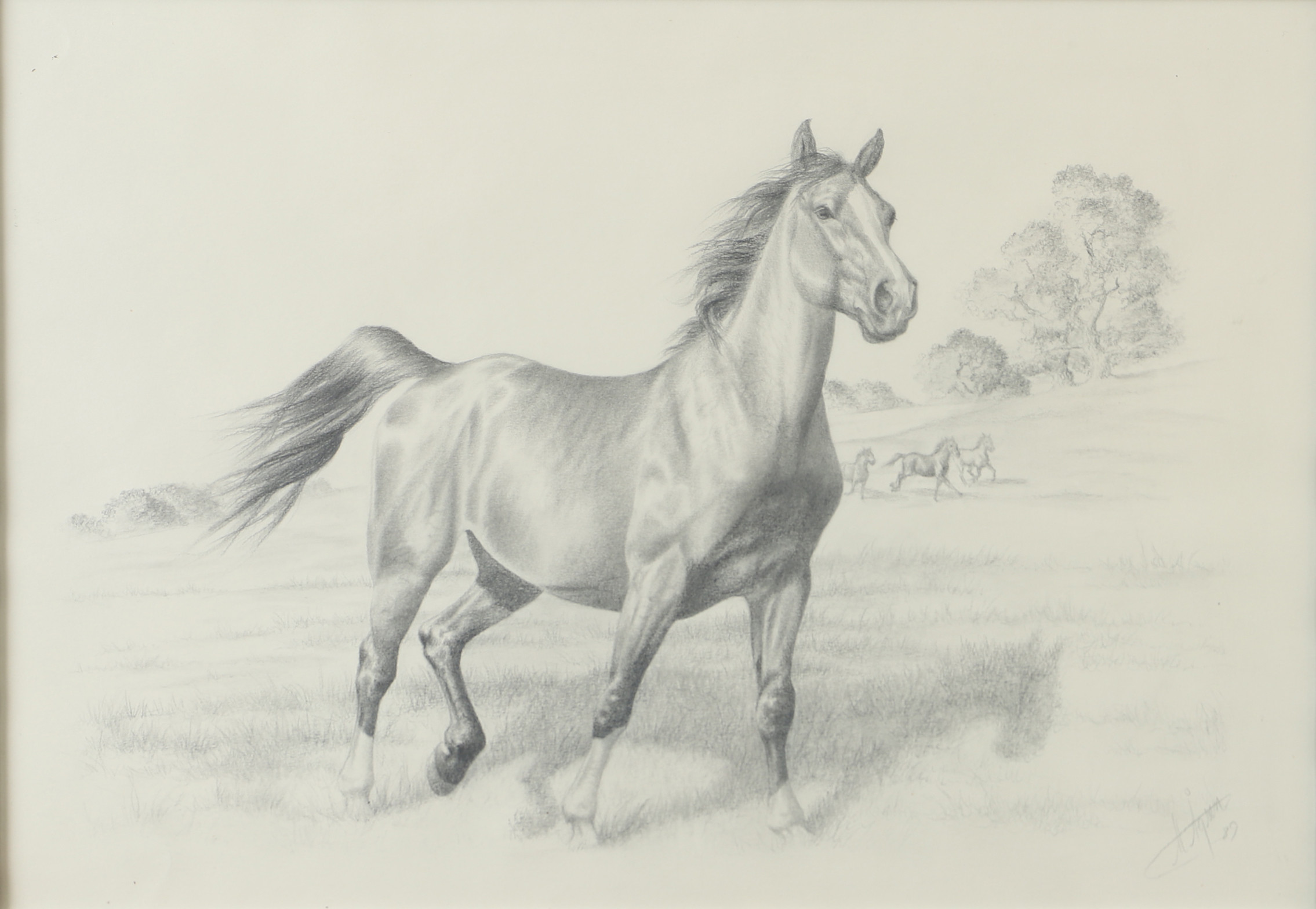 OIDENTIFIERAD KONSTNÄR. Hästar i öppet landskap, teckning, signerad M. Ågren -89.