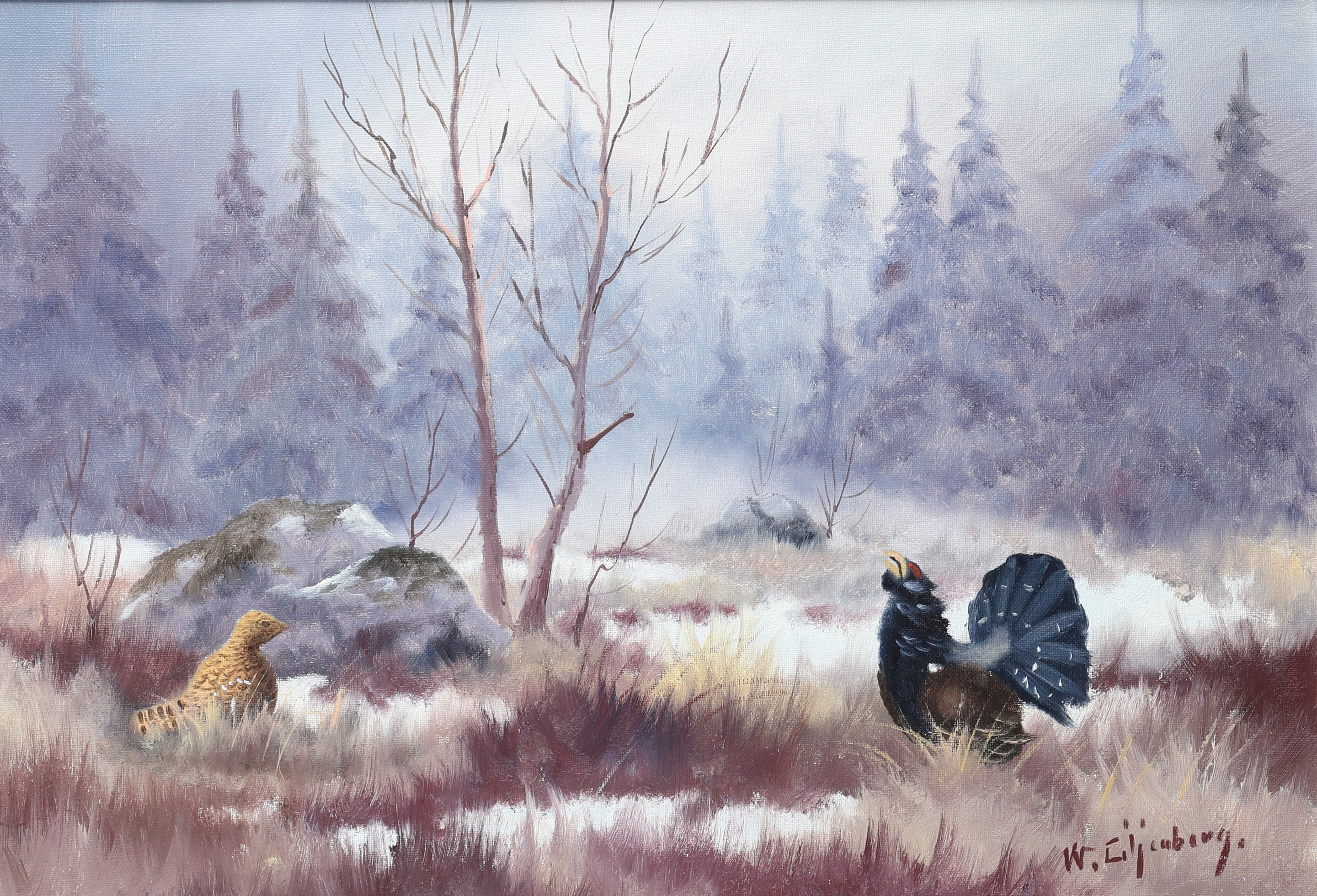 WALTER LILJEBERG. Olja på duk, tjäderspel i skogslandskap, signerad.