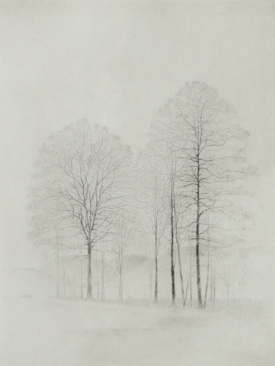 GUNNAR NORRMAN. "Backlandskap", torrnål, signerad 1979.