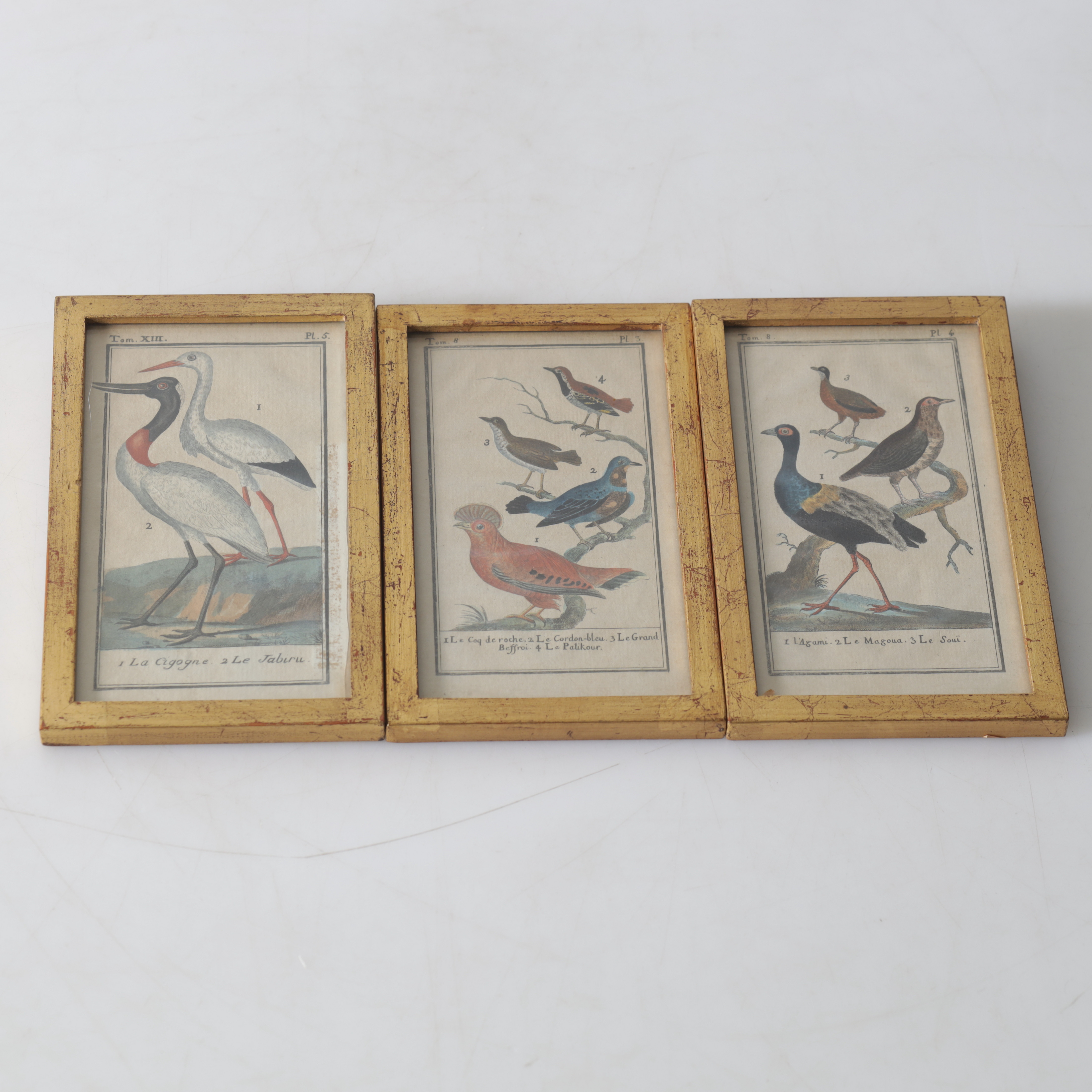 OIDENTIFIERAD KONSTNÄR. ETSNINGAR, 3 st, fågelmotiv, 1800-tal.