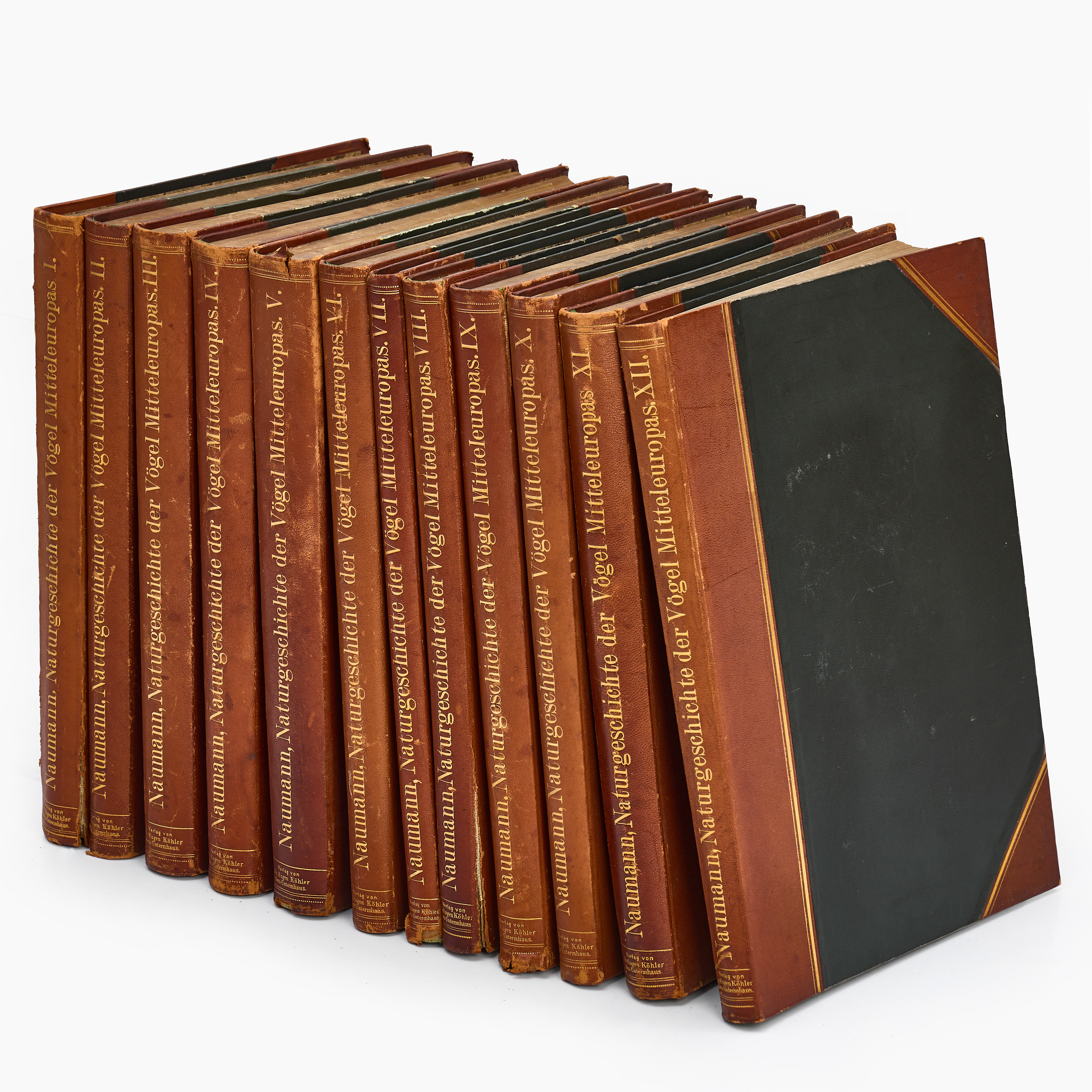 ORNITOLOGI. NAUMANN, JOHANN ANDREAS/NAUMANN, JOHANN FRIEDRICH, "Naumann, Naturgeschichte der Vögel Mitteleuropas" (1897)-1905.