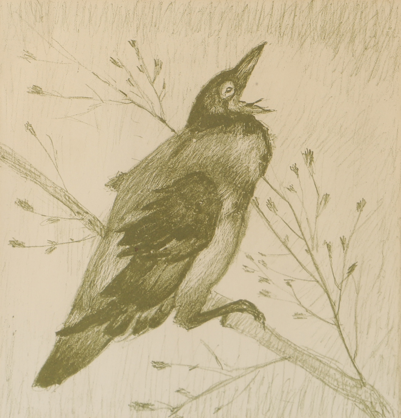 ERNST NORLIND. EFTER. Fågel på kvist, inramat tryck.