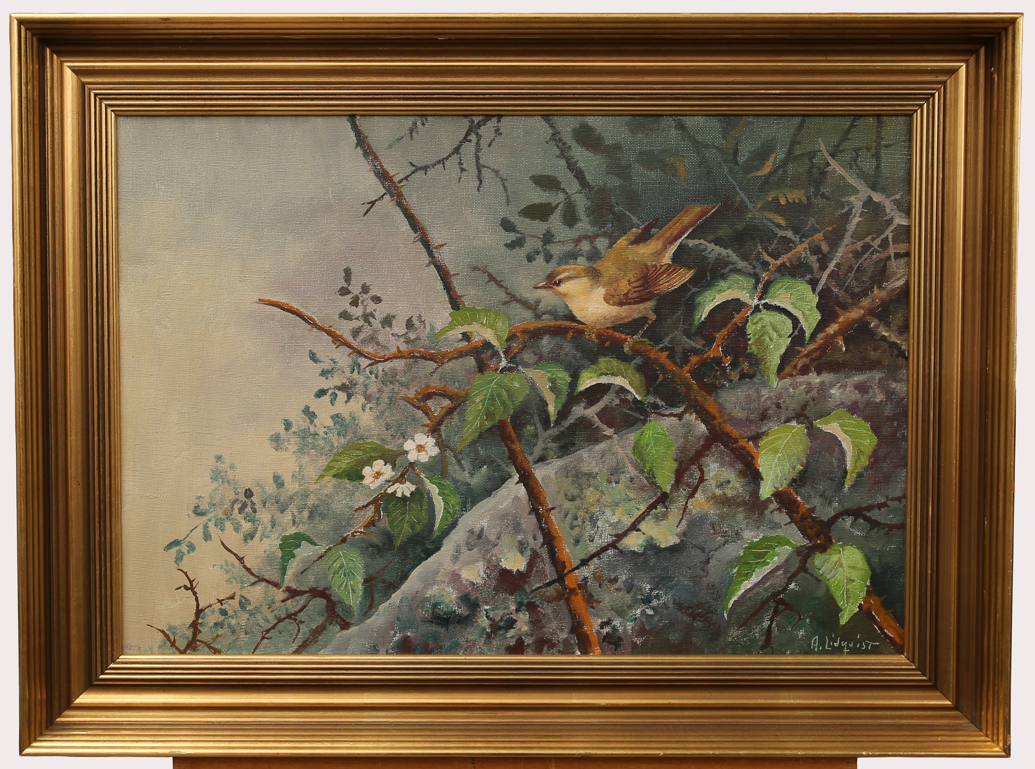 ARNE LIDQVIST. Olja på duk, "Trädgårdssångare", signerad.