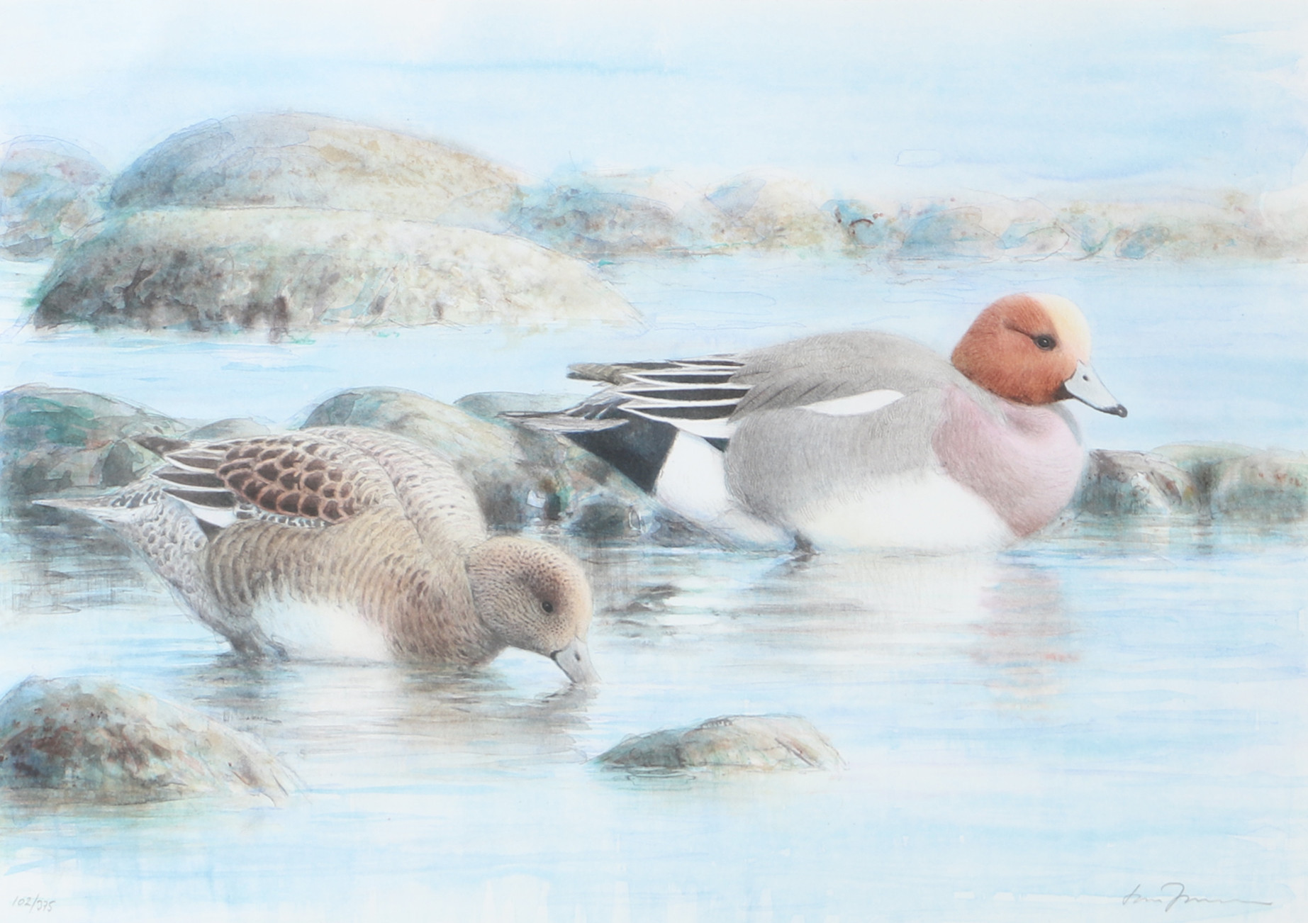 LARS JONSSON. Badande fåglar, färglitografi, signerad.