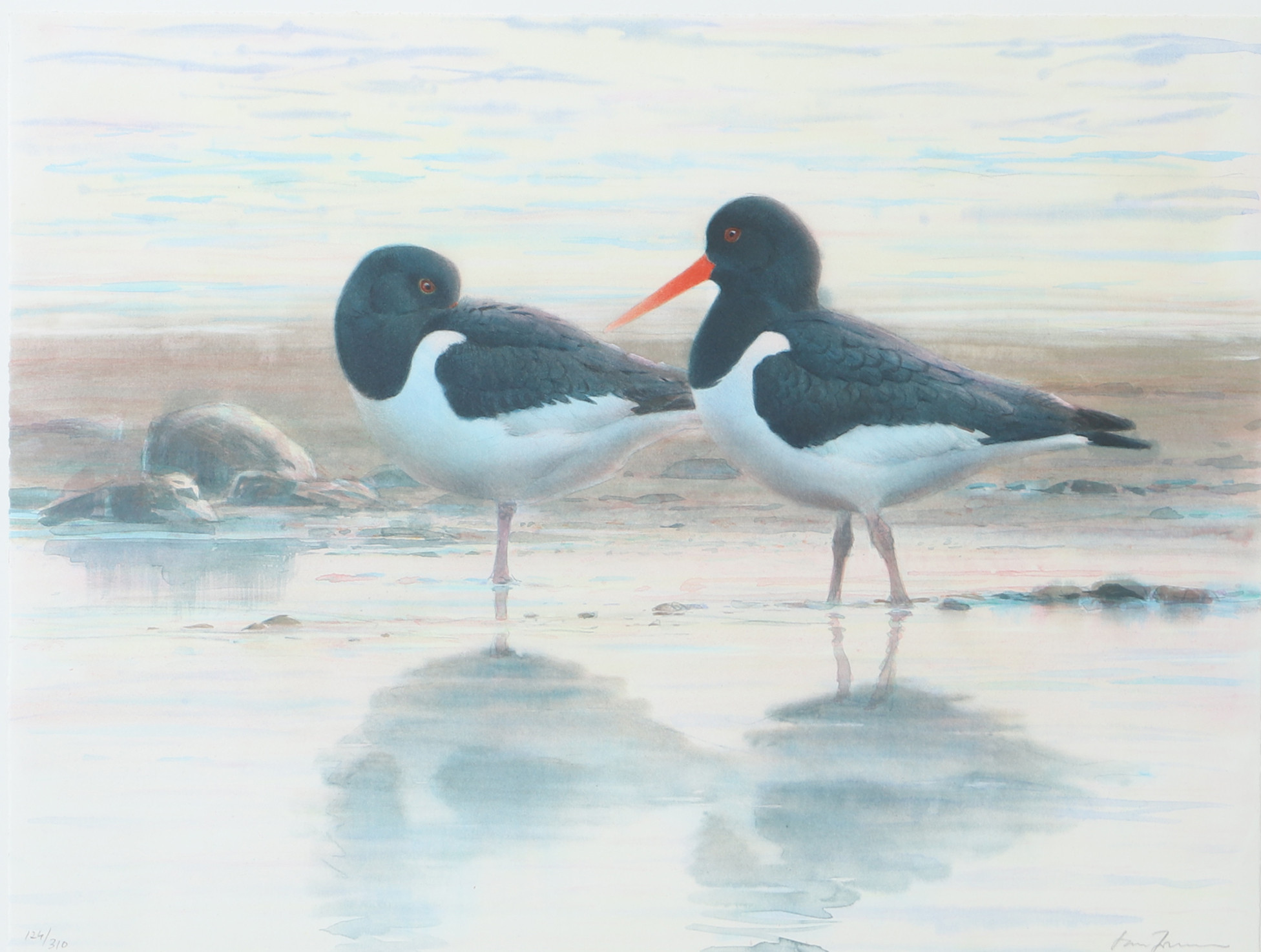 LARS JONSSON. Vadande fåglar, färglitografi, signerad.