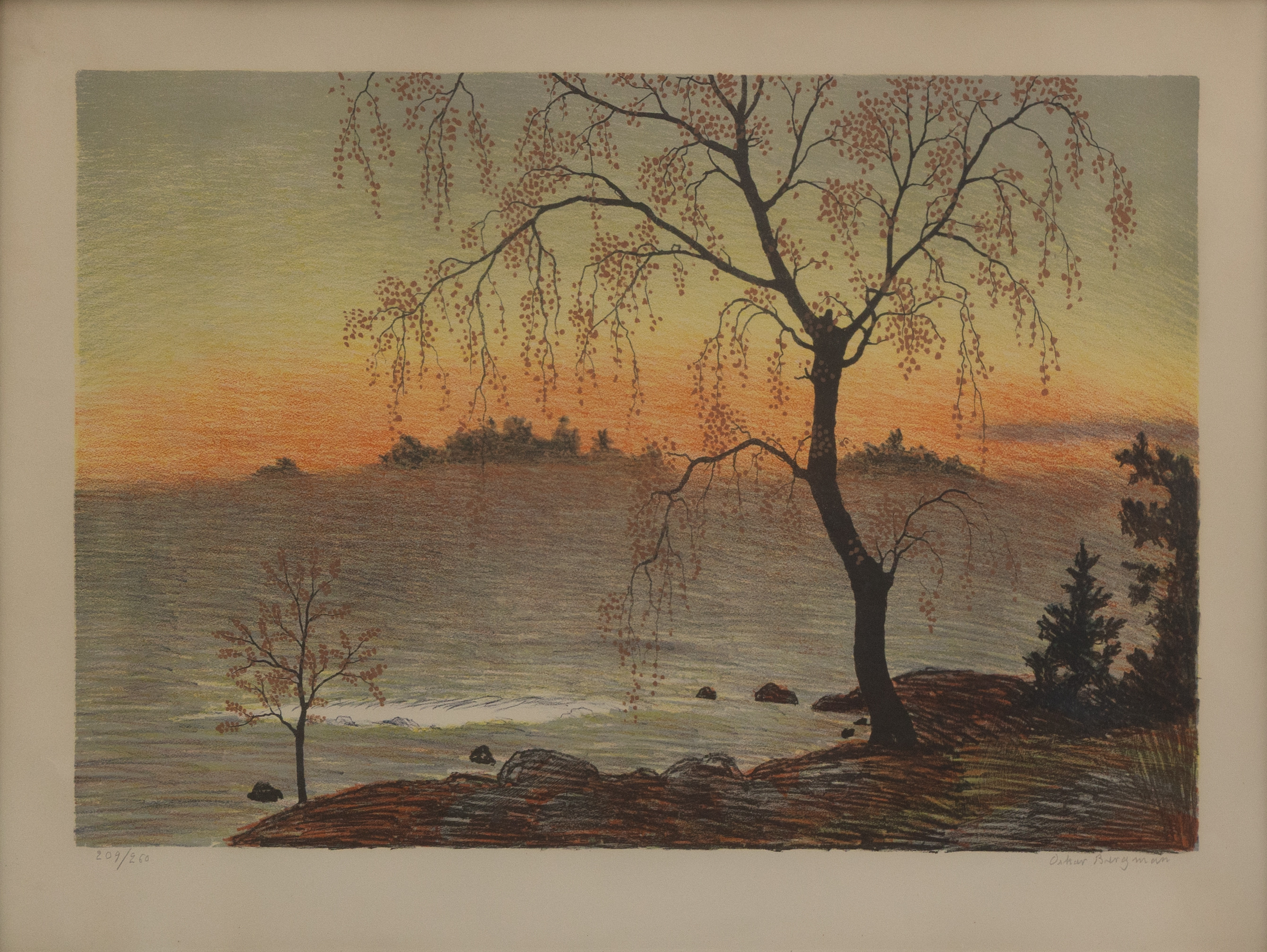 OSKAR BERGMAN. Träd i landskap, litografi nr 209/250, signerad.