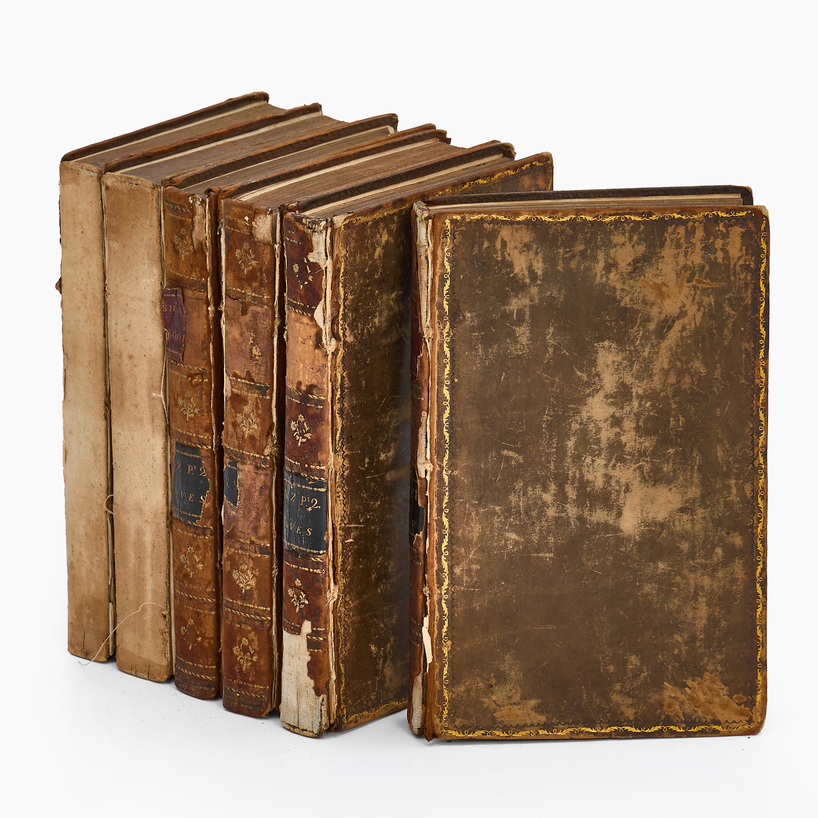 ORNITOLOGI (6). SHAW/STEPHENS, "General Zoology, or Systematic Natural History", London 1809, 1815-16, 1817.