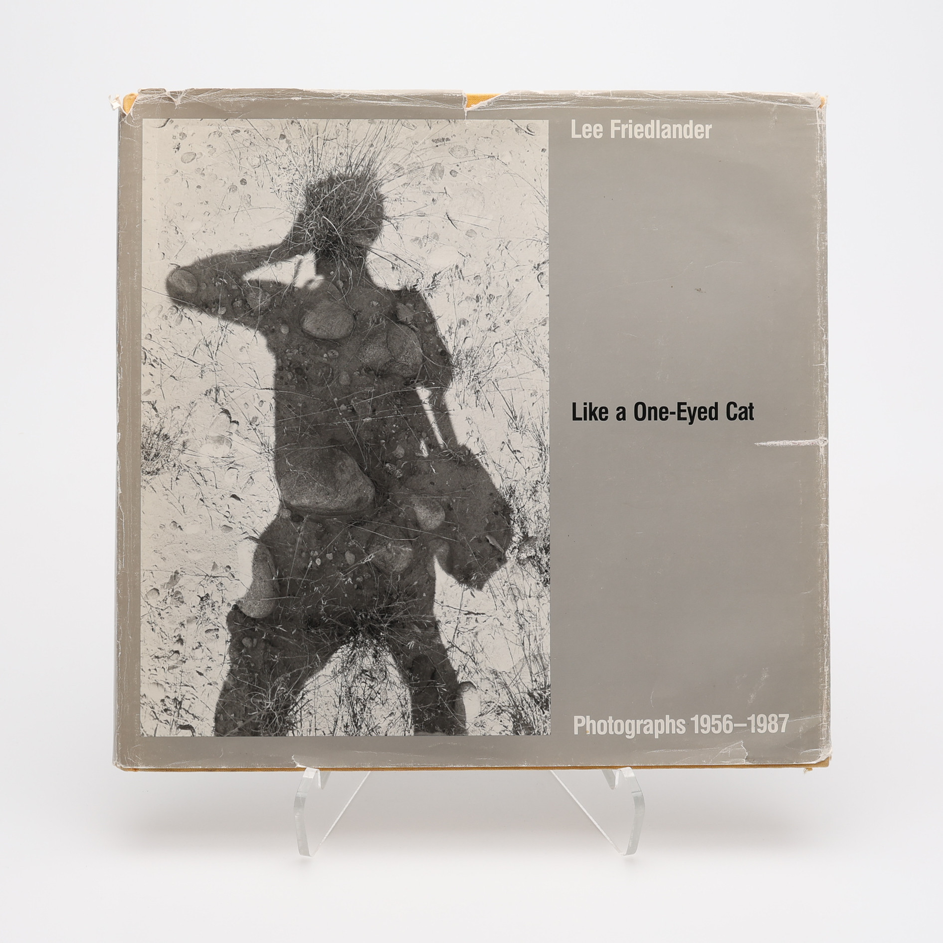 FOTO. DEN AMERIKANSKE FOTOGRAFEN LEE FRIEDLANDERS LIKE A ONE-EYED CAT I FÖRSTA UPPLAGAN 1989.