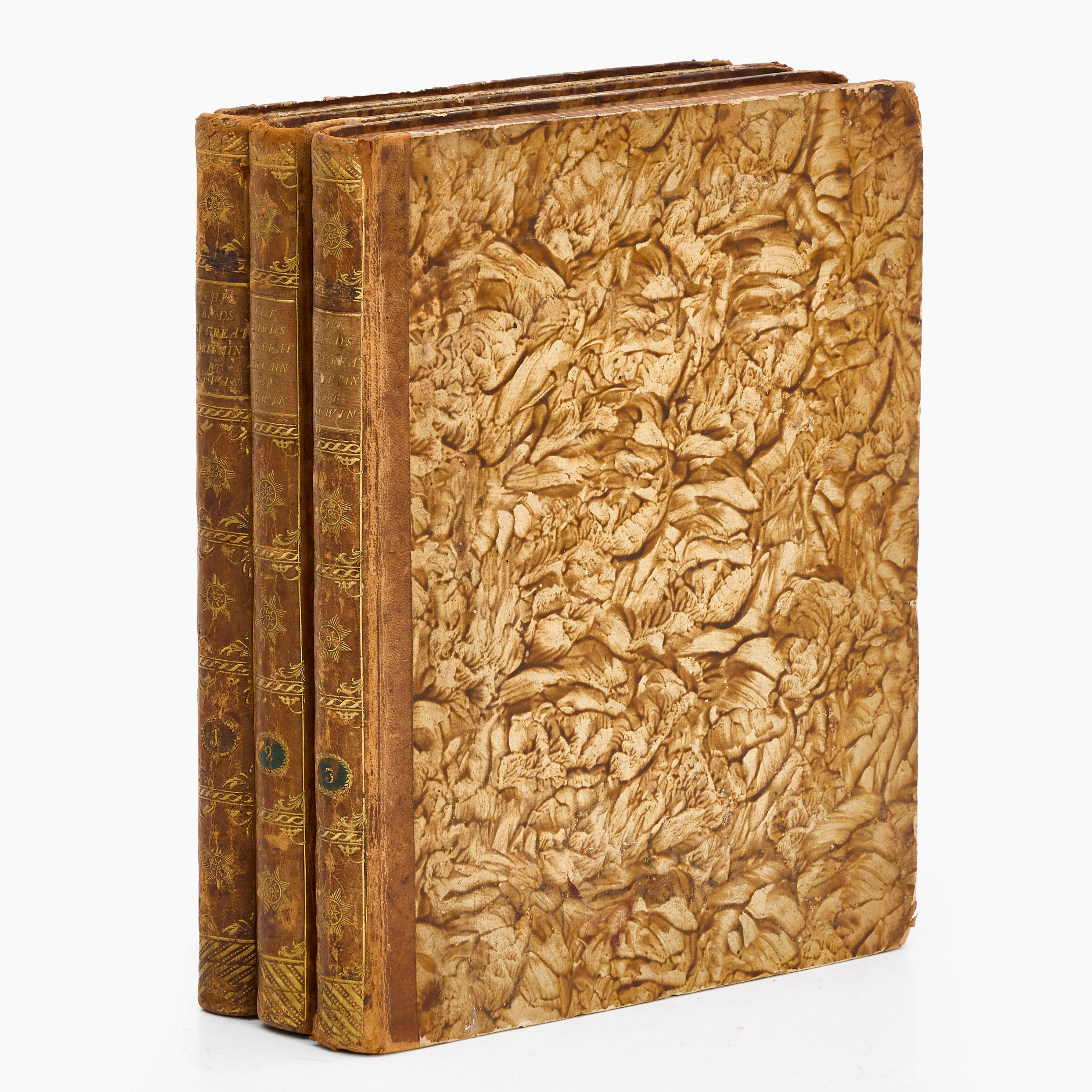 ORNITHOLOGY. LEWVIN, "The Birds of Great Britain", Vol I-III, London, 1795-96.