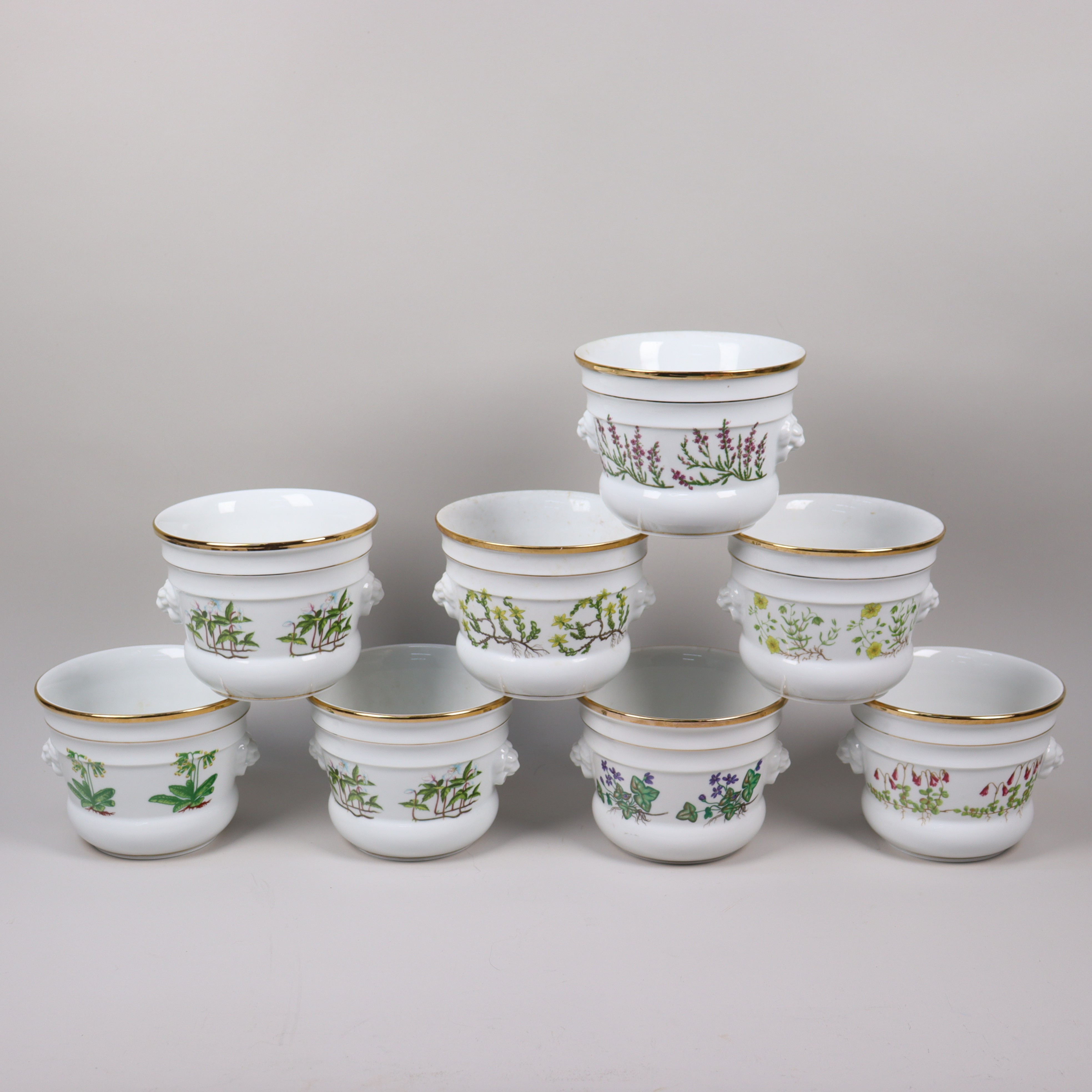 YTTERFODER, "Carl von Linné", Fyrklövern, Tettau, 8 st.