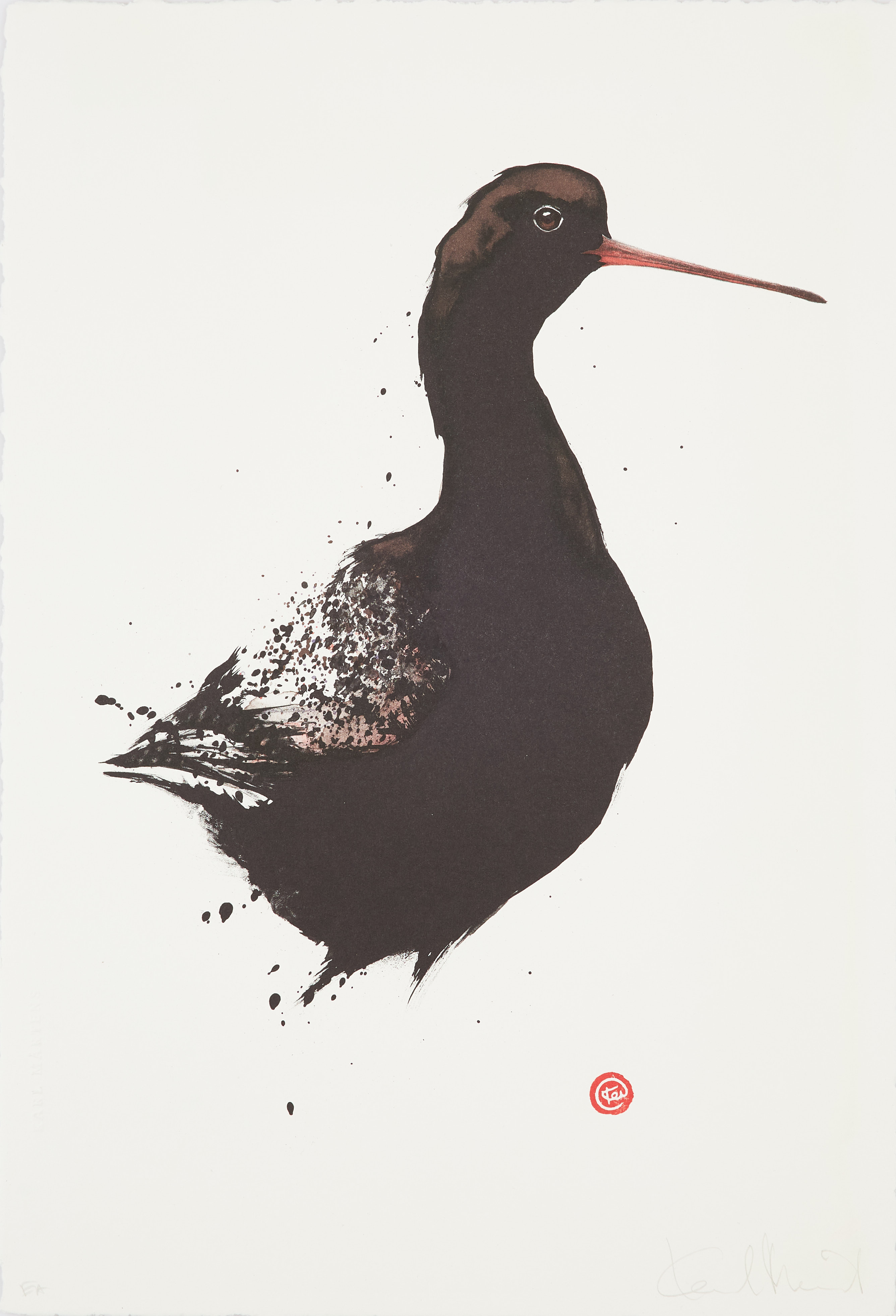 KARL MÅRTENS. "Svartsnäppa", färglitografi, signerad Karl Mårtens, EA.