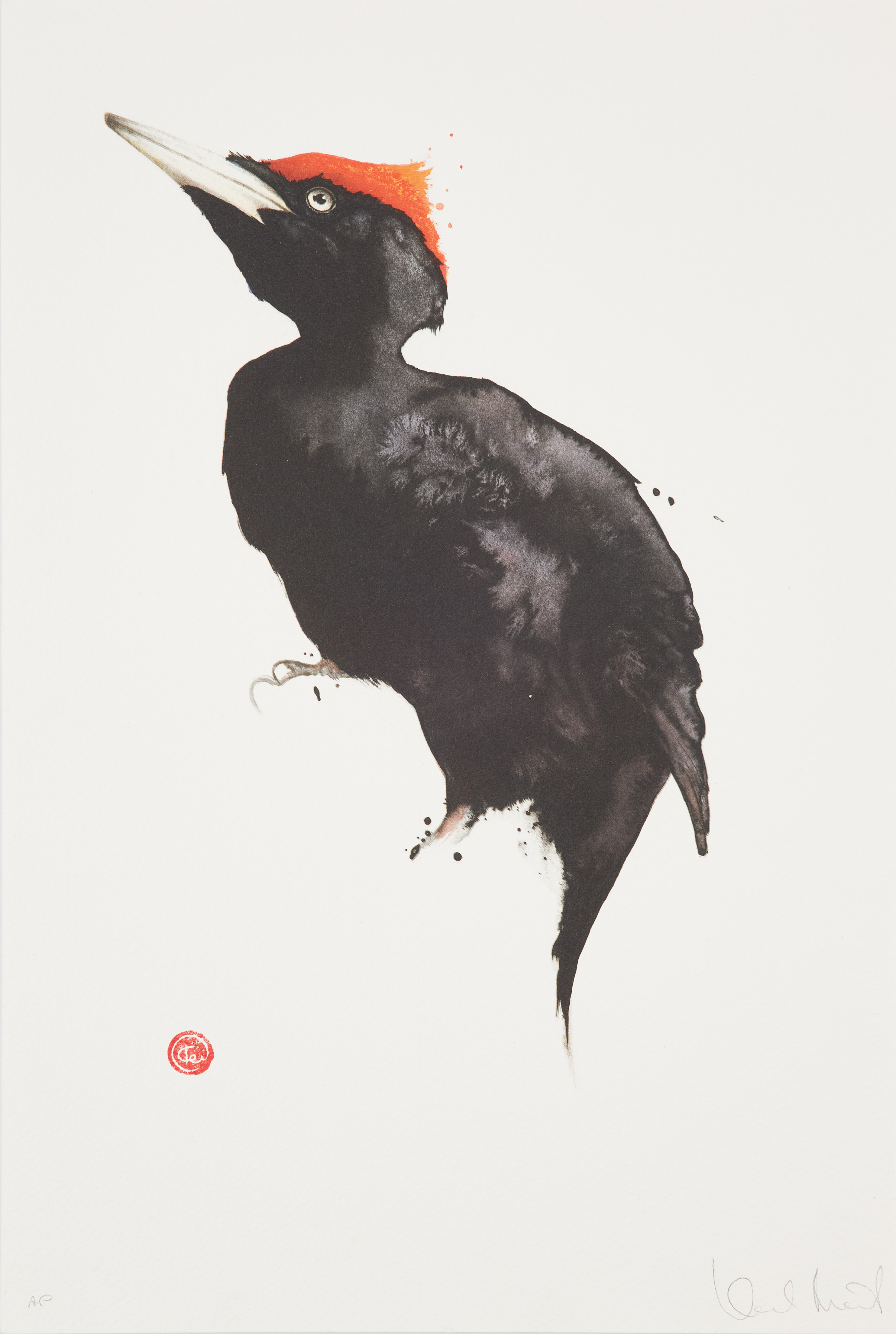 KARL MÅRTENS. "Spillkråka", färglitografi, signerad Karl Mårtens, AP.