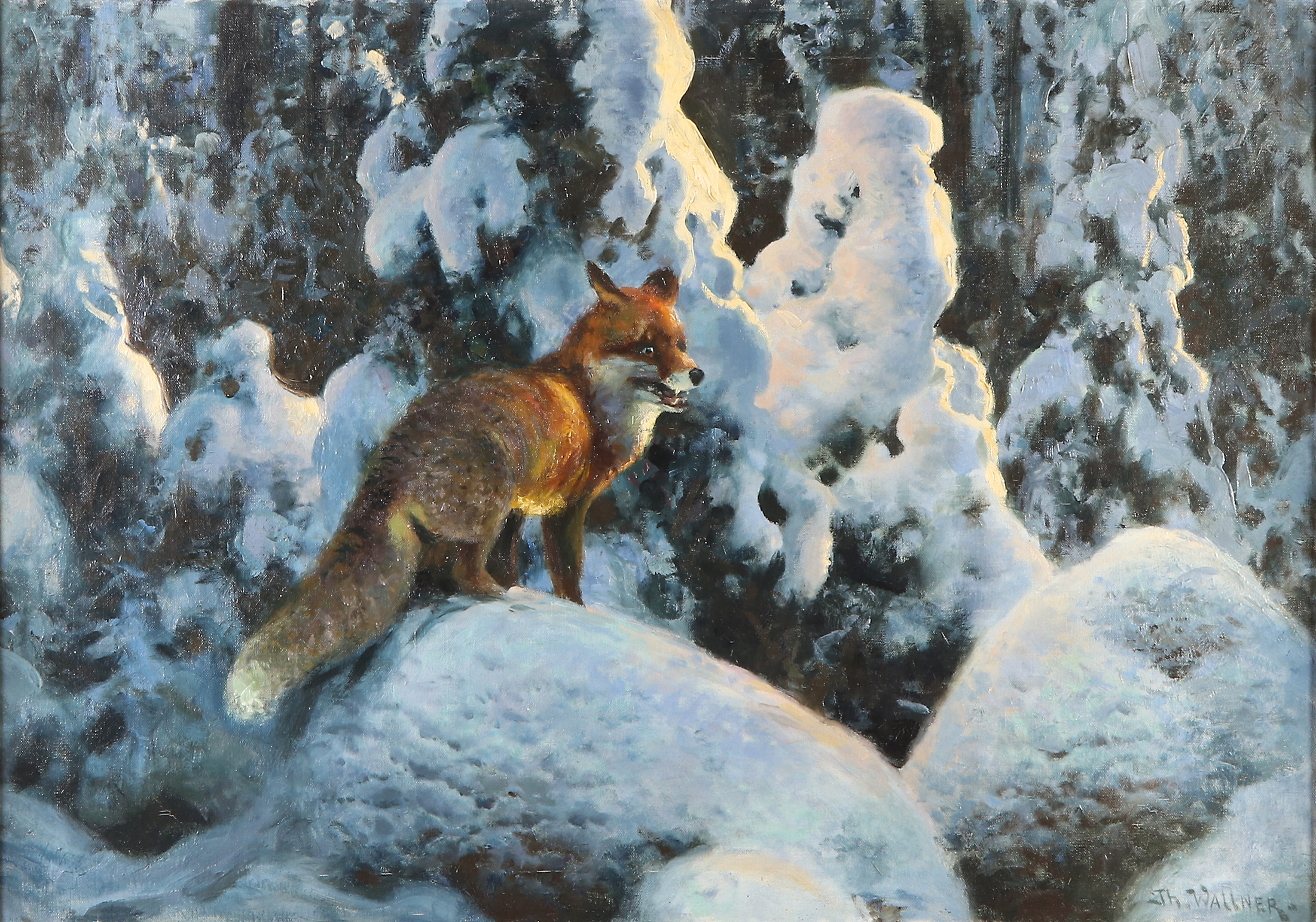 THURE WALLNER. Oljemålning på duk. Räv i vinterlandskap. Signerad.