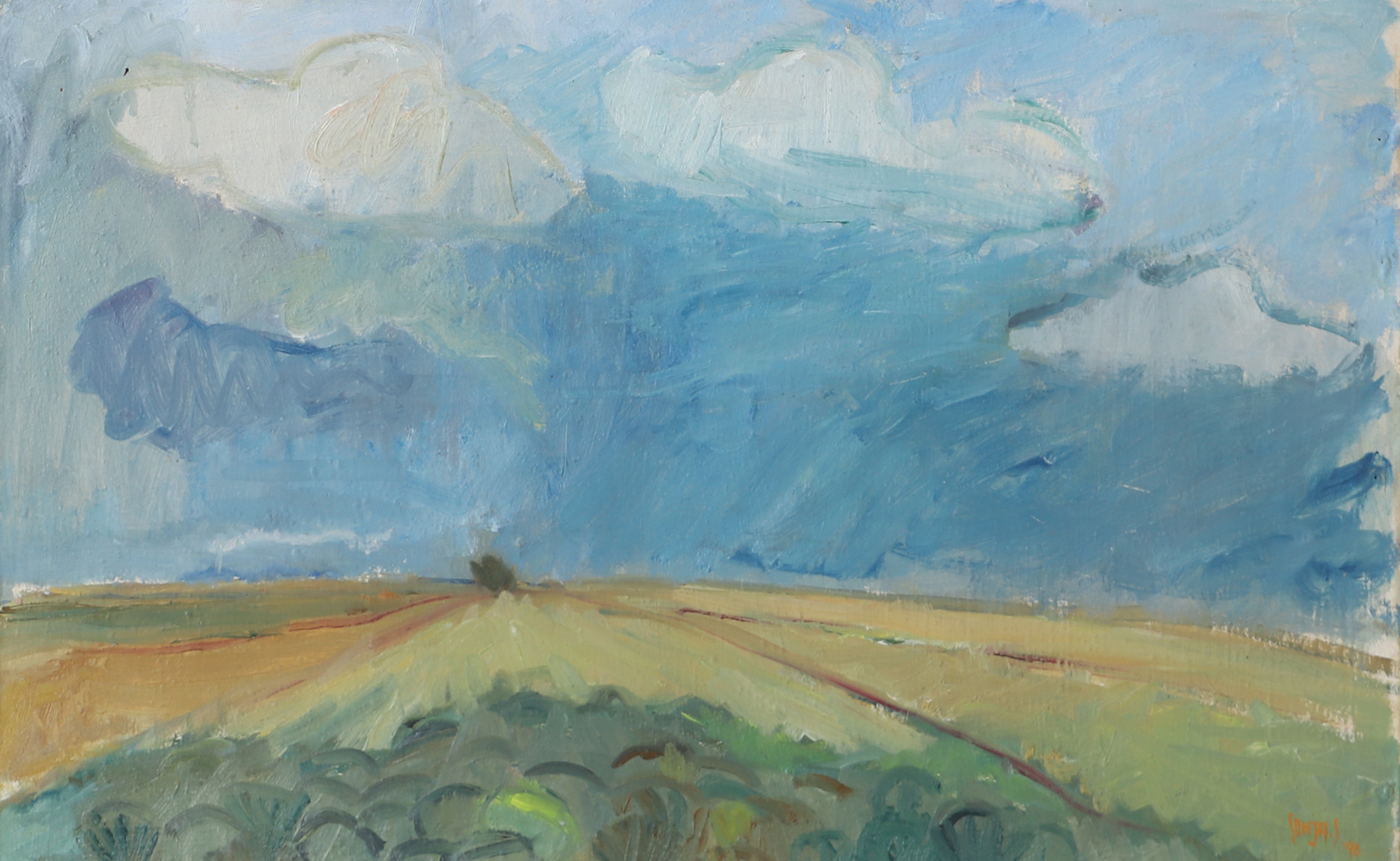 OIDENTIFIERAD KONSTNÄR. Åkerlandskap, olja på duk, signerad Sonja -46.