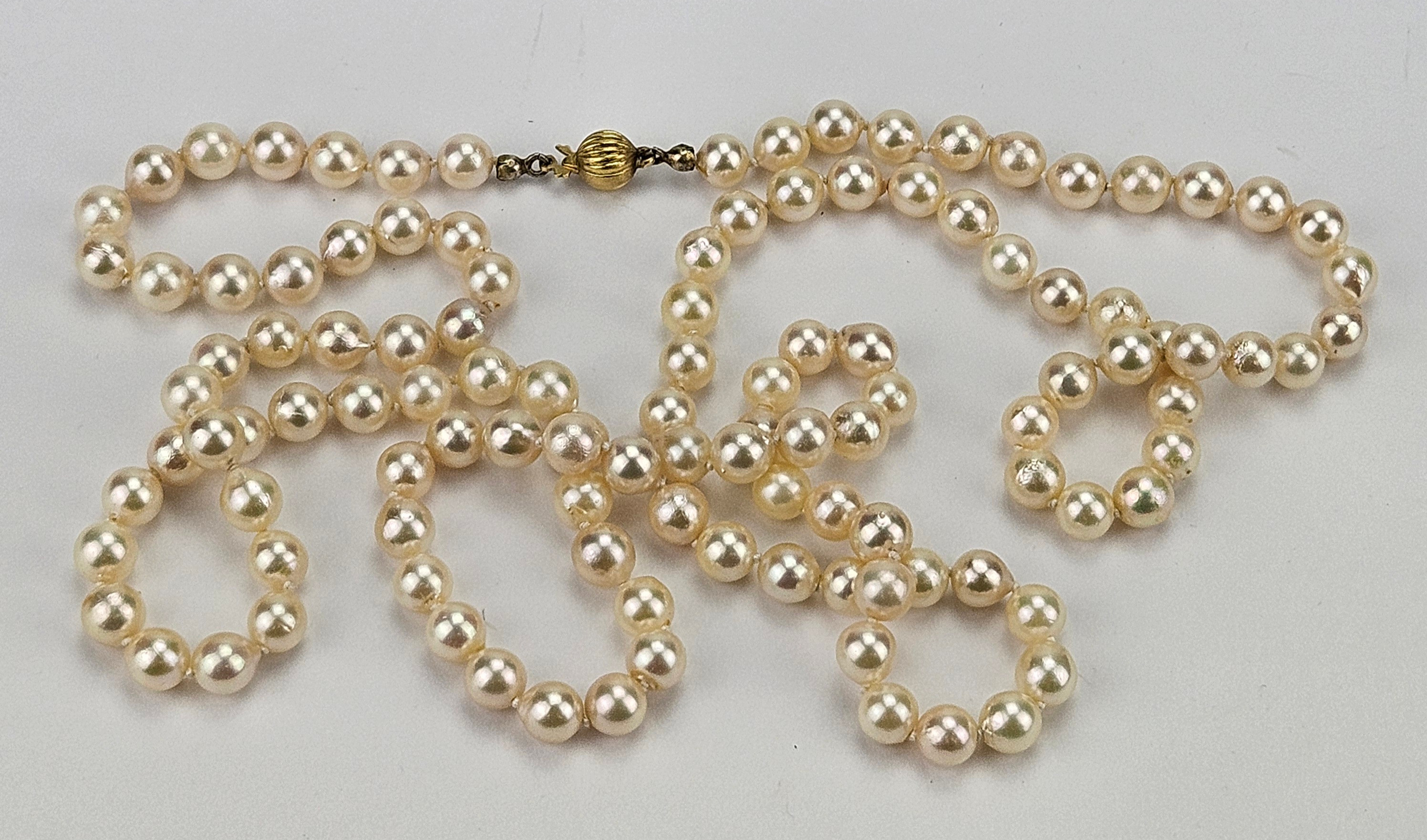PÄRLCOLLIER, troligen skalpärlor, lås i delvis guld, 18K.