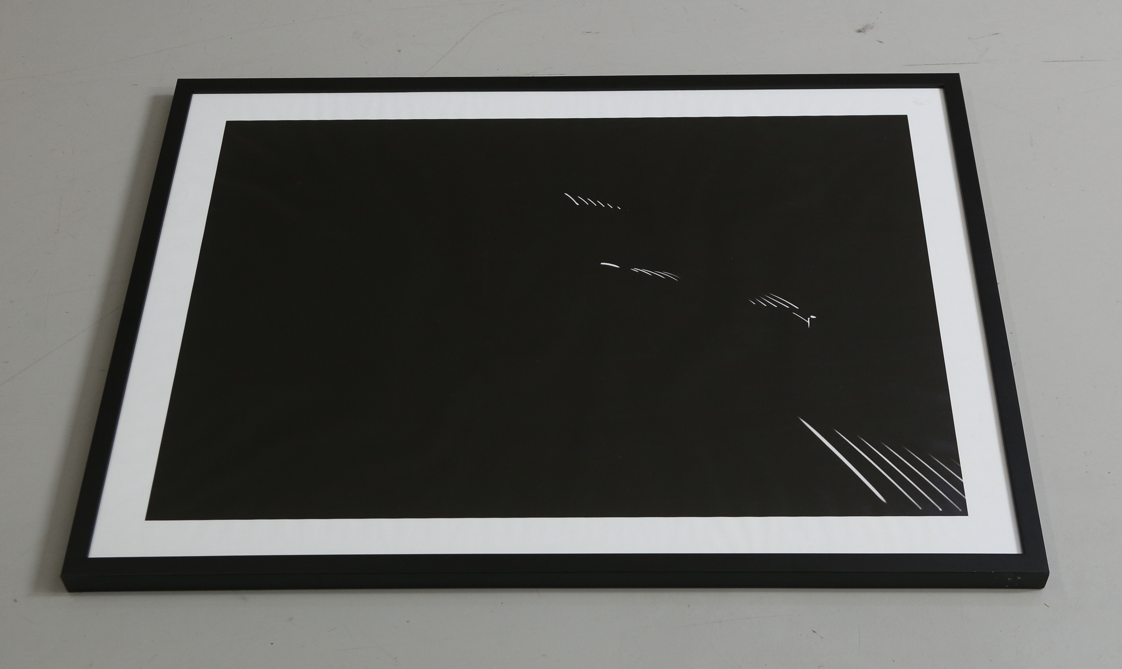 OKÄND KONSTNÄR. fotoprint, samtida, osignerad.
