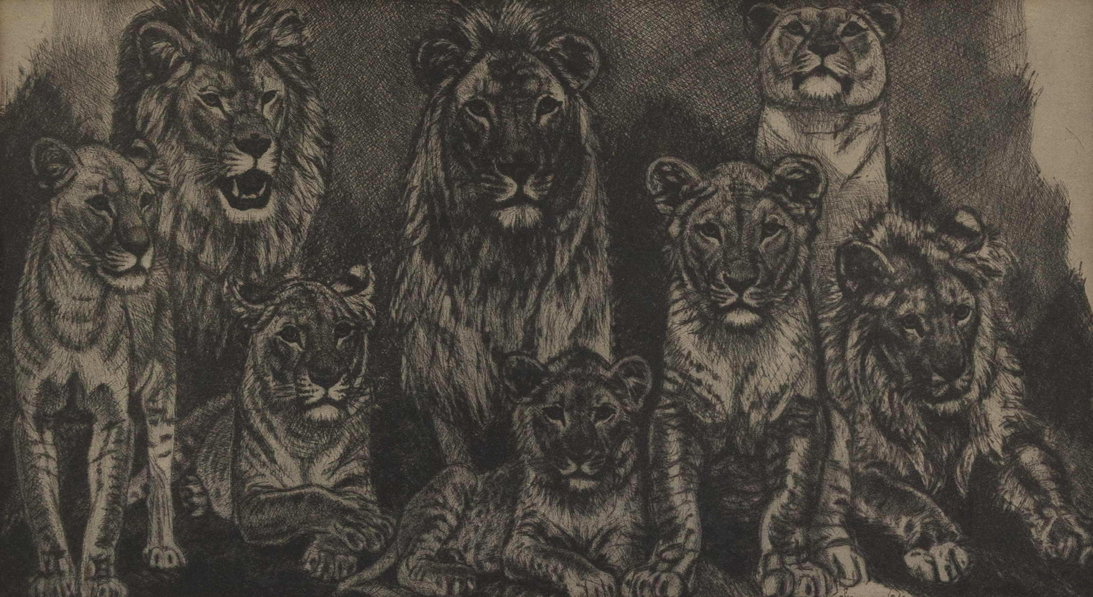 EDUARD WIIRALT. Lejon, offsettryck, signerad och daterad 1949.