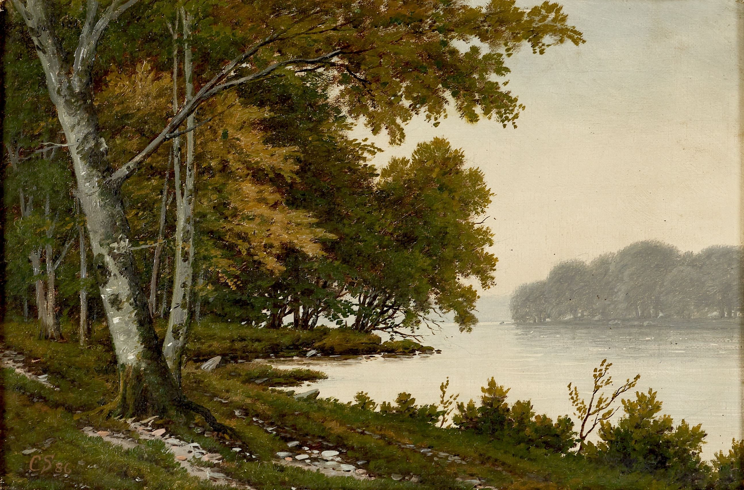 OIDENTIFIERAD KONSTNÄR, 1800-tal, sydsvenskt insjölandskap, olja på duk, bär signatur CS och daterad -86.