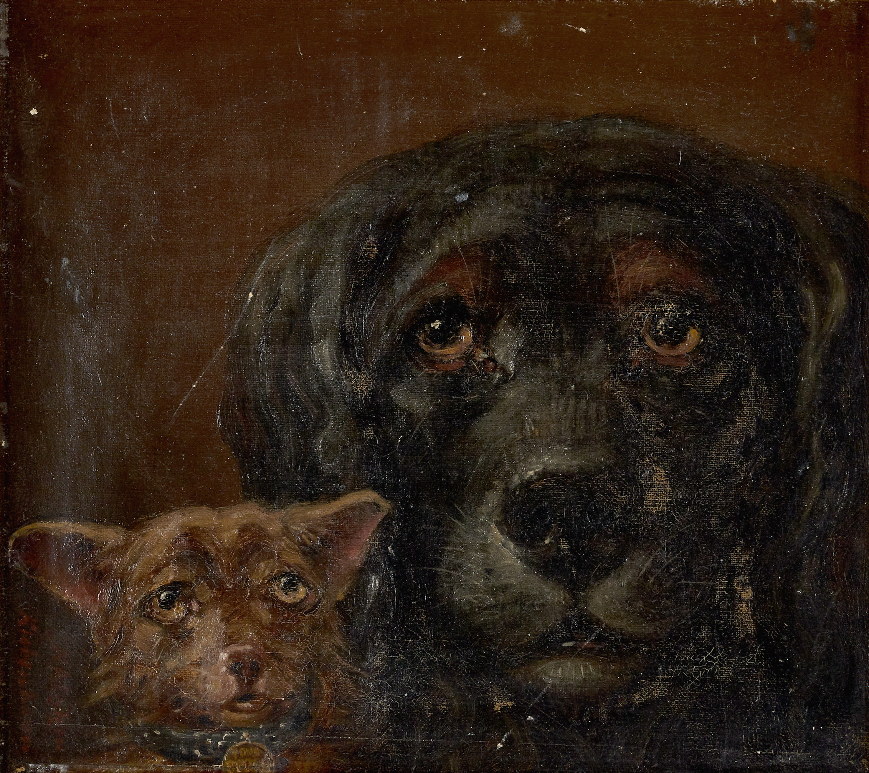 OIDENTIFIERAD KONSTNÄR, 1800-tal, hundporträtt, olja på duk.