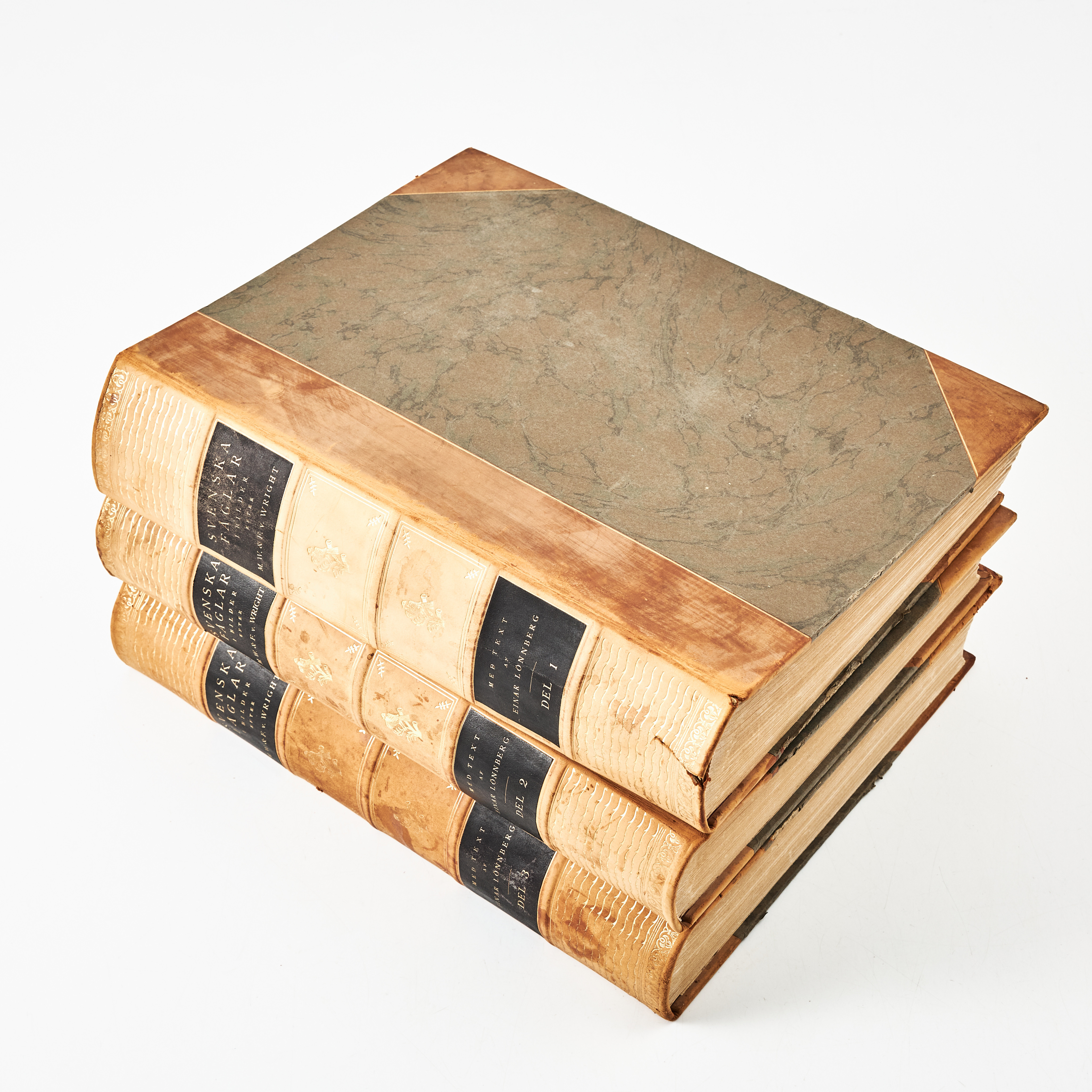 BRÖDERNA WRIGHT, SVENSKA FÅGLAR, 3 volymer, andra upplagan, 1924-29.