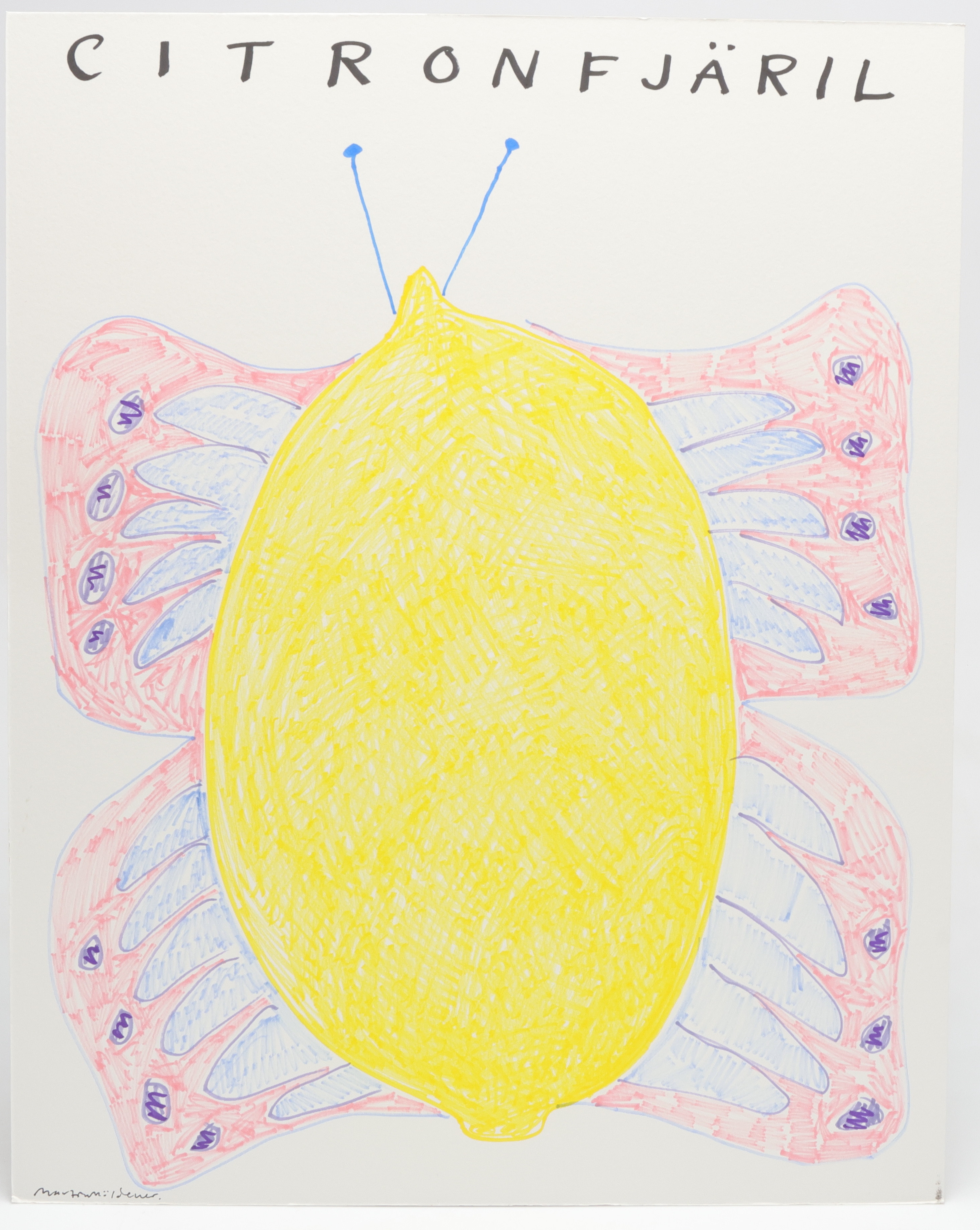 MARTIN MÖLDENER. "Citronfjäril", tusch på passepartout, signerad.