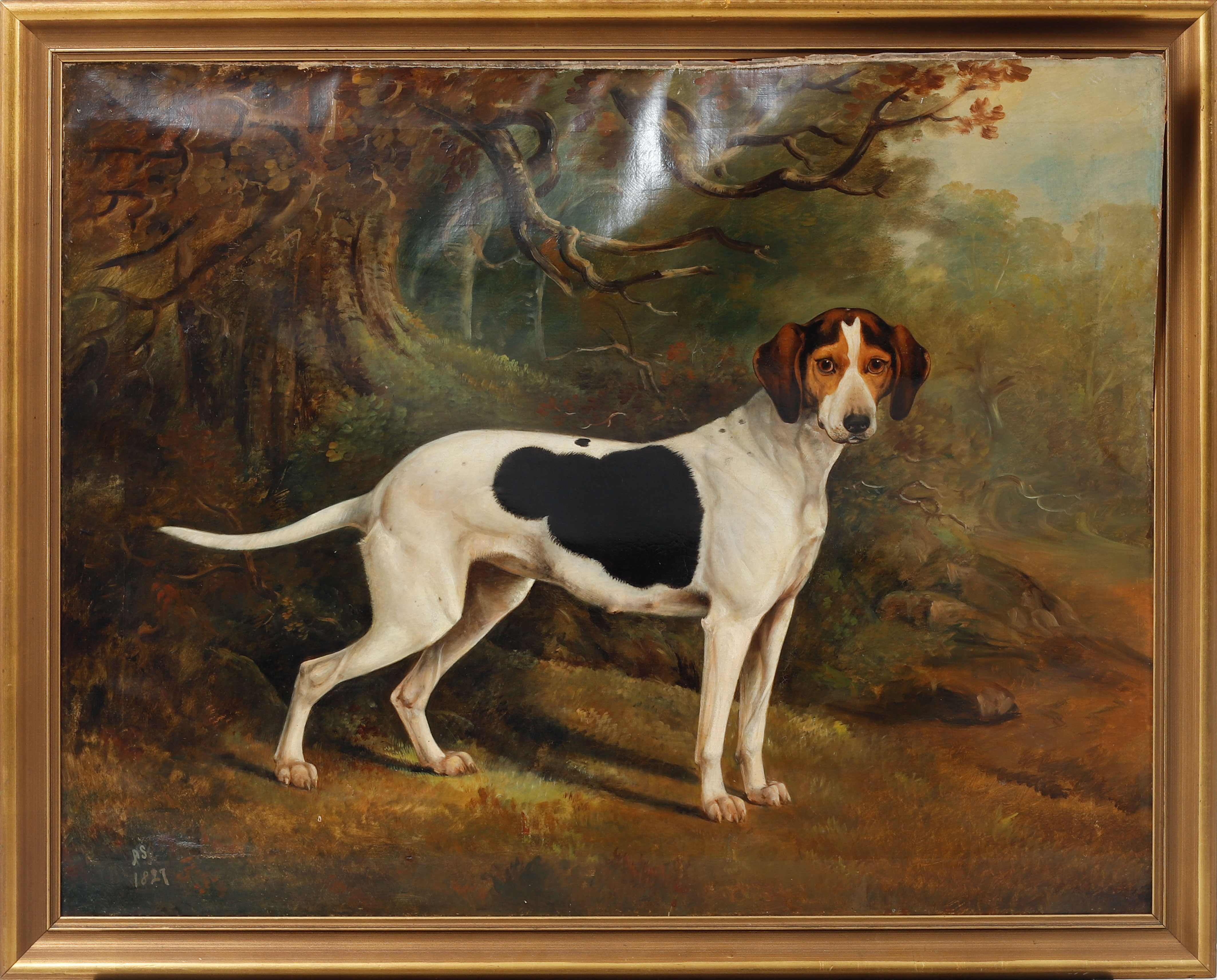 OIDENTIFIERAD KONSTNÄR. Hundporträtt, olja på duk, monogramsignerad AS och daterad 1827.