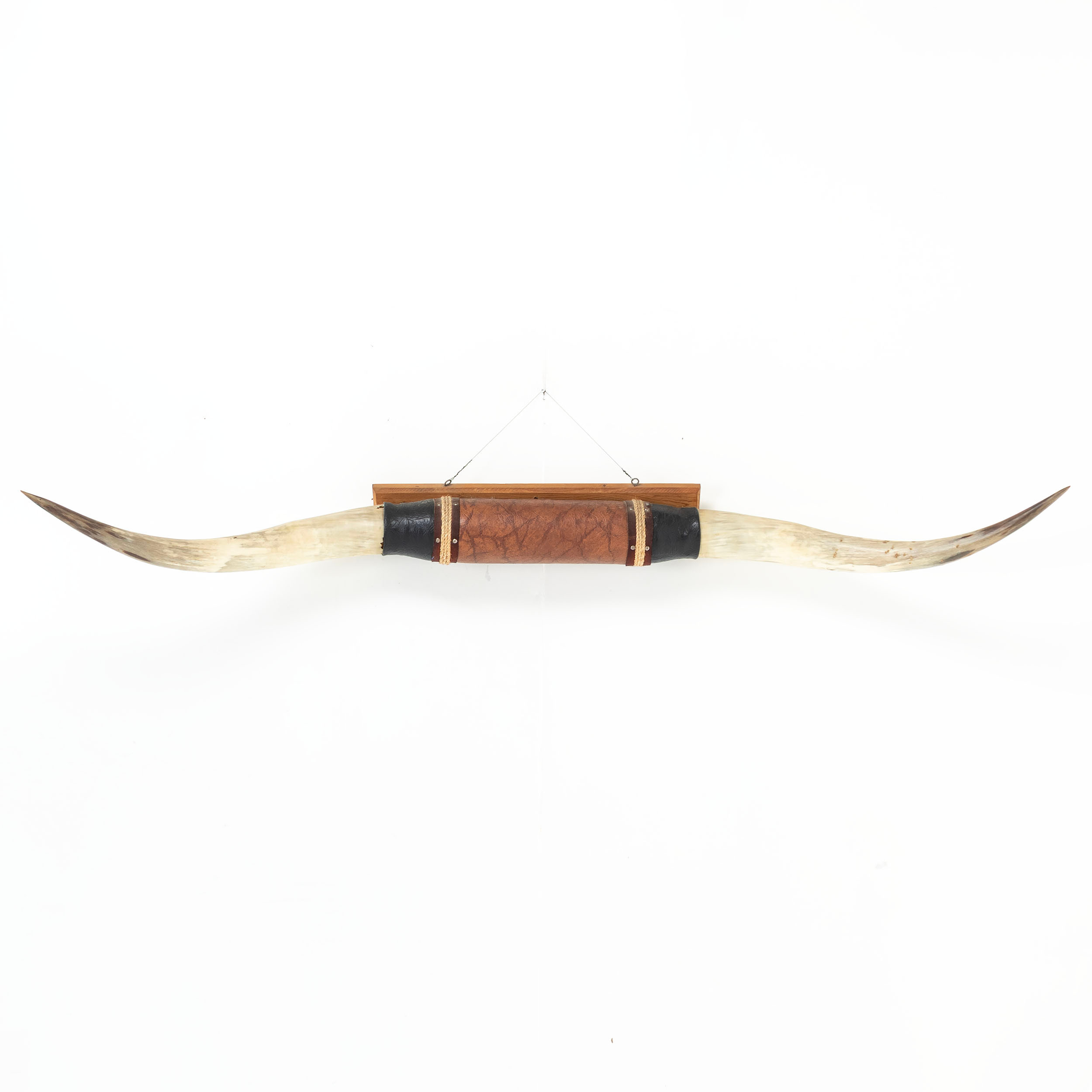 TROFE, horn från longhorn.