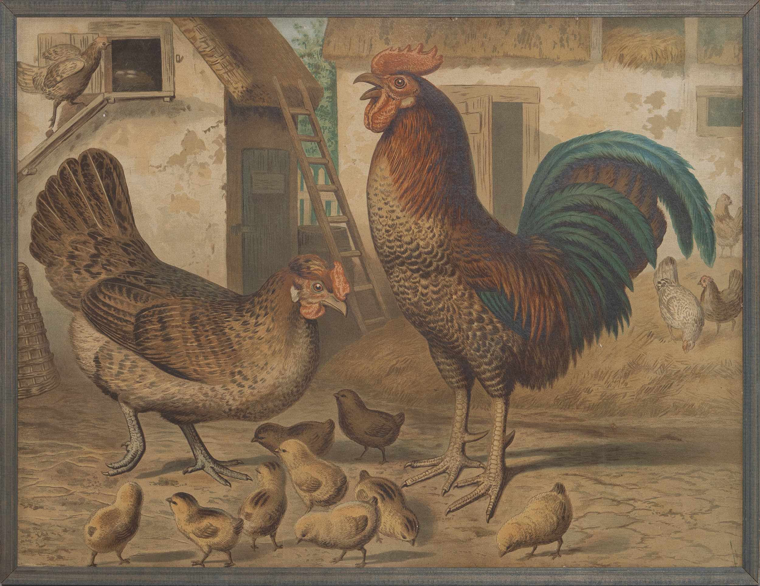 SKOLPLANSCHER, 2 stycken, tupp & hönsmotiv, 1900-tal.