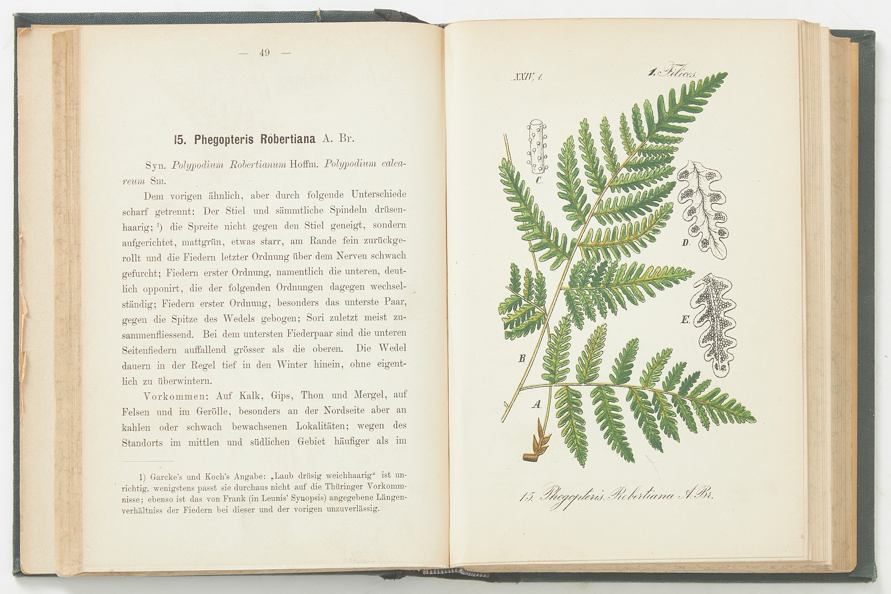 FLORA VON DEUTSCHLAND WITH C. 4000 PLATES, 31 volumes.