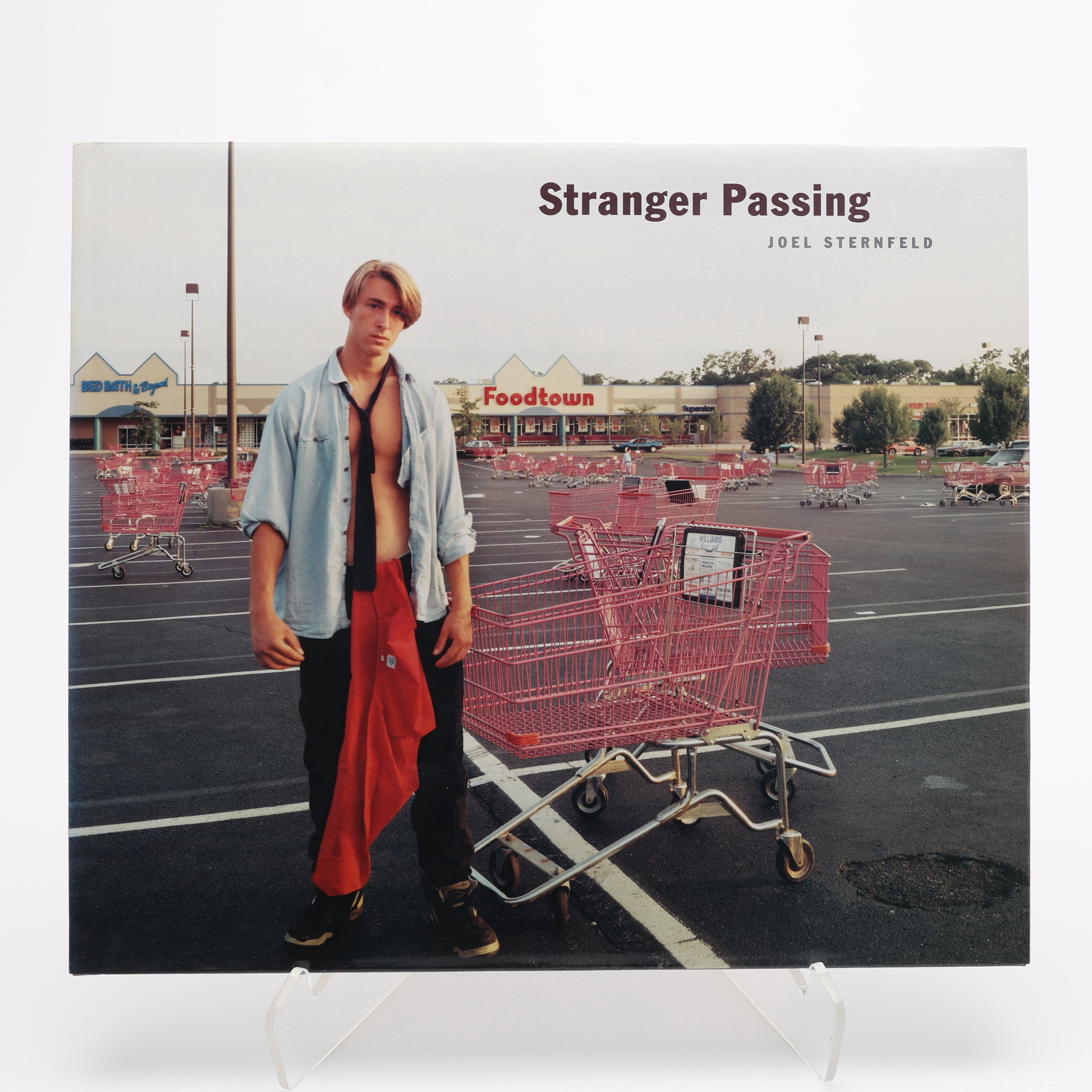 FOTO. DEN AMERIKANSKE FOTOGRAFEN JOEL STERNFELDS "STRANGERS PASSING" I FÖRSTA UPPLAGAN, 2001.
