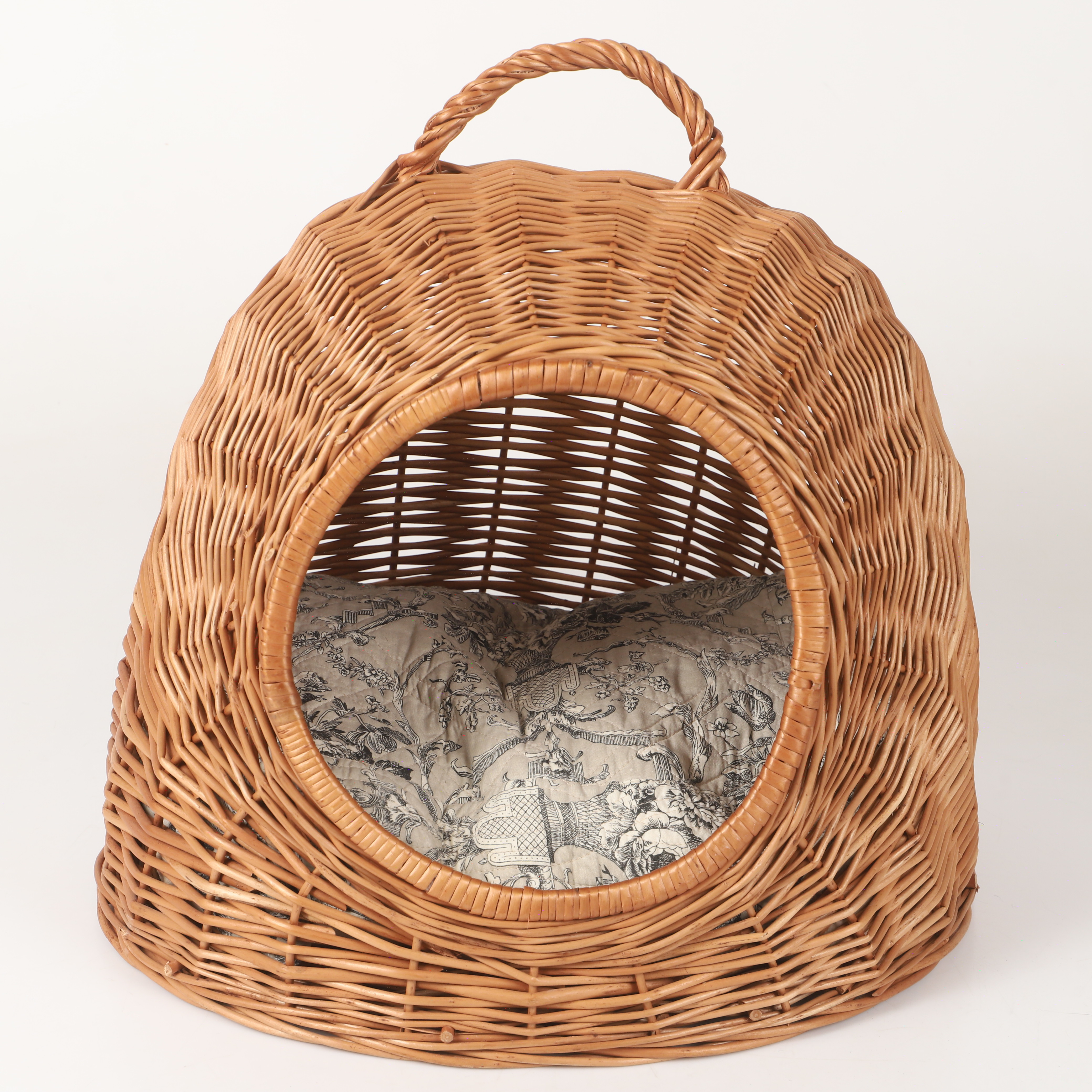 KORGBO, rotting med kudde, 2000-tal.