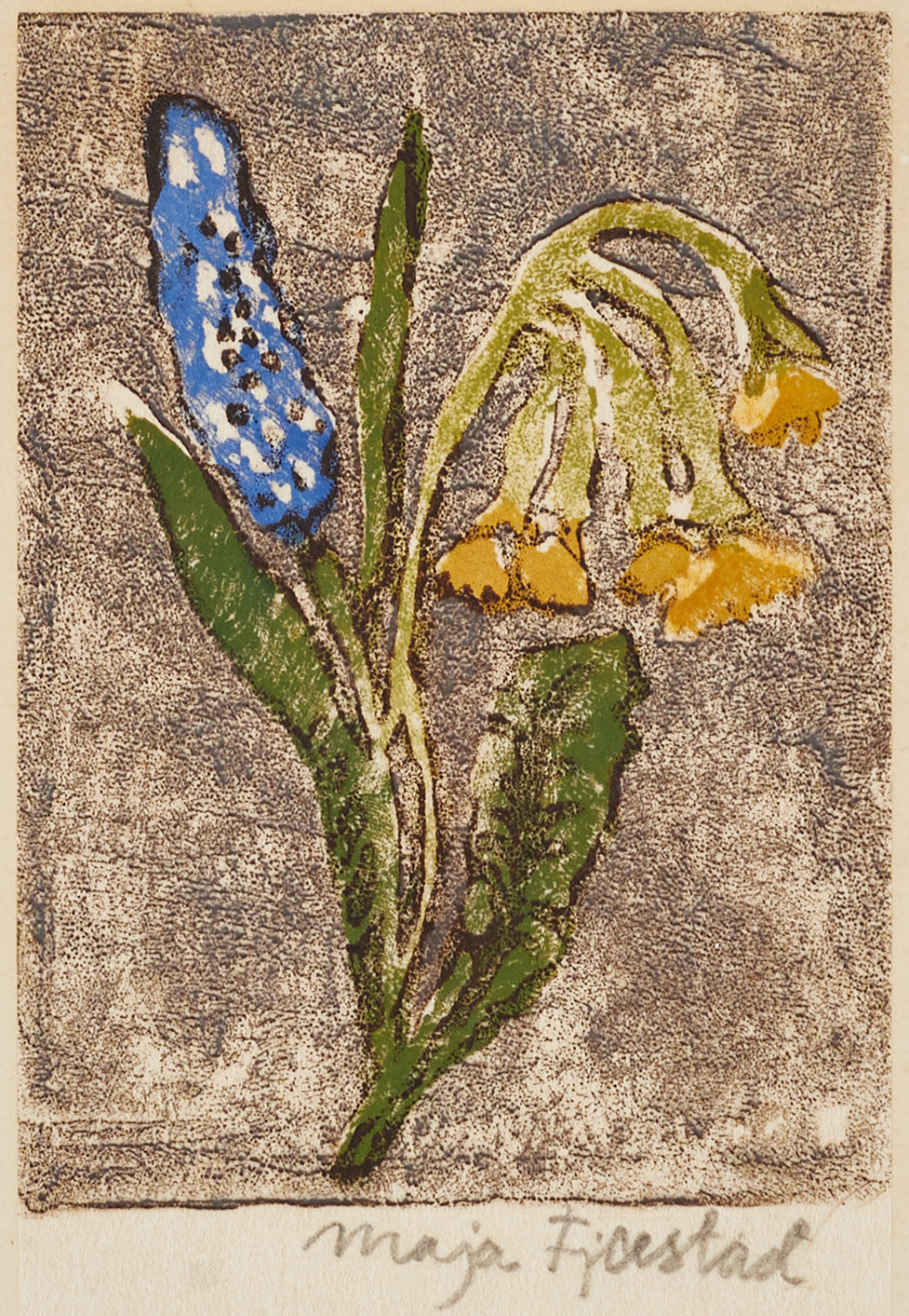 MAJA FJAESTAD (SVERIGE, 1873–1961). Gullviva och pärlhyacint, signerad, träsnitt.