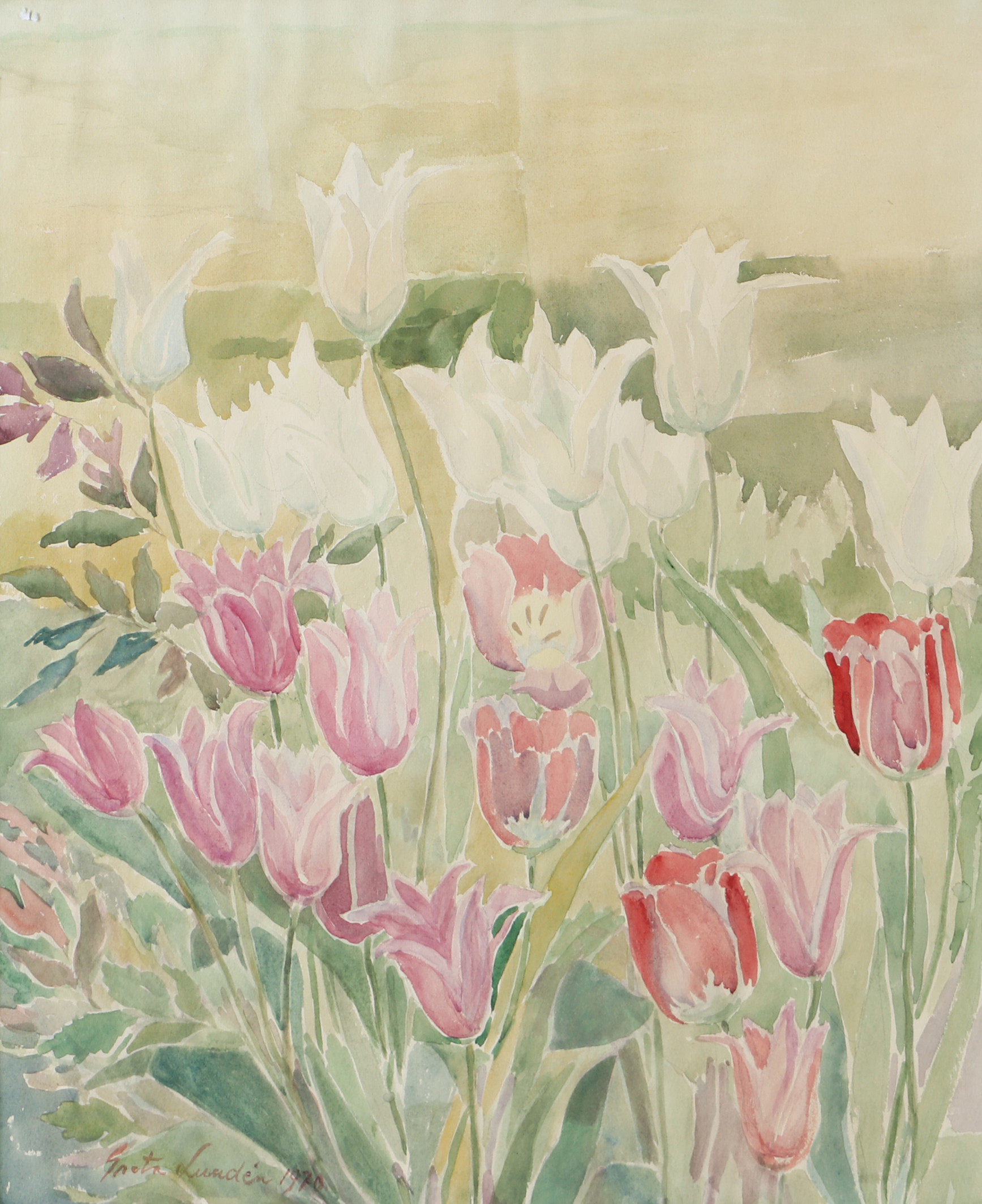 GRETA LUNDÉN. Tulpaner, akvarell, signerad 1970.