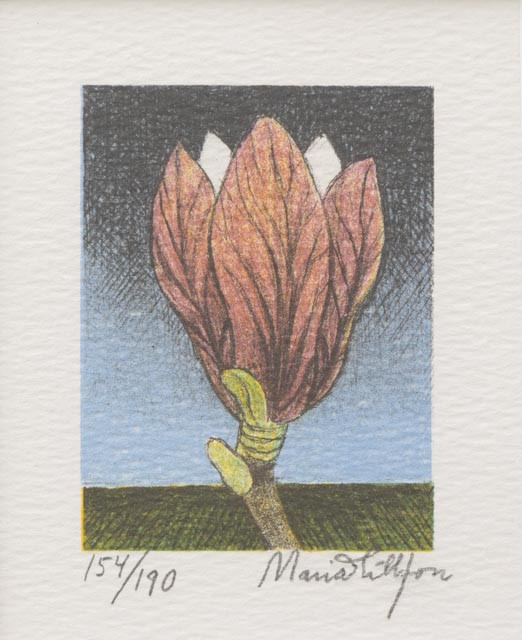 MARIA HILLFON. Kronblad, litografi nr 154/190, signerad.