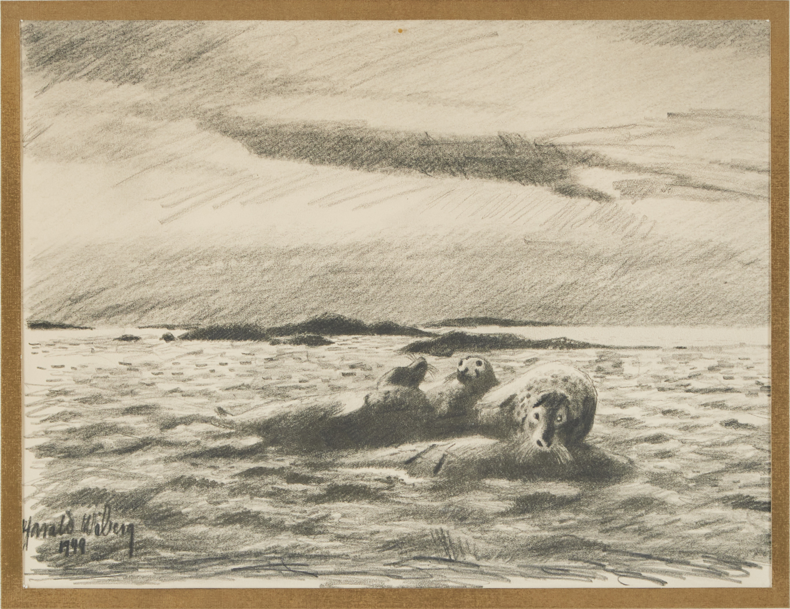 HARALD WIBERG. Gråsälar, teckning, signerad, daterad 1944.