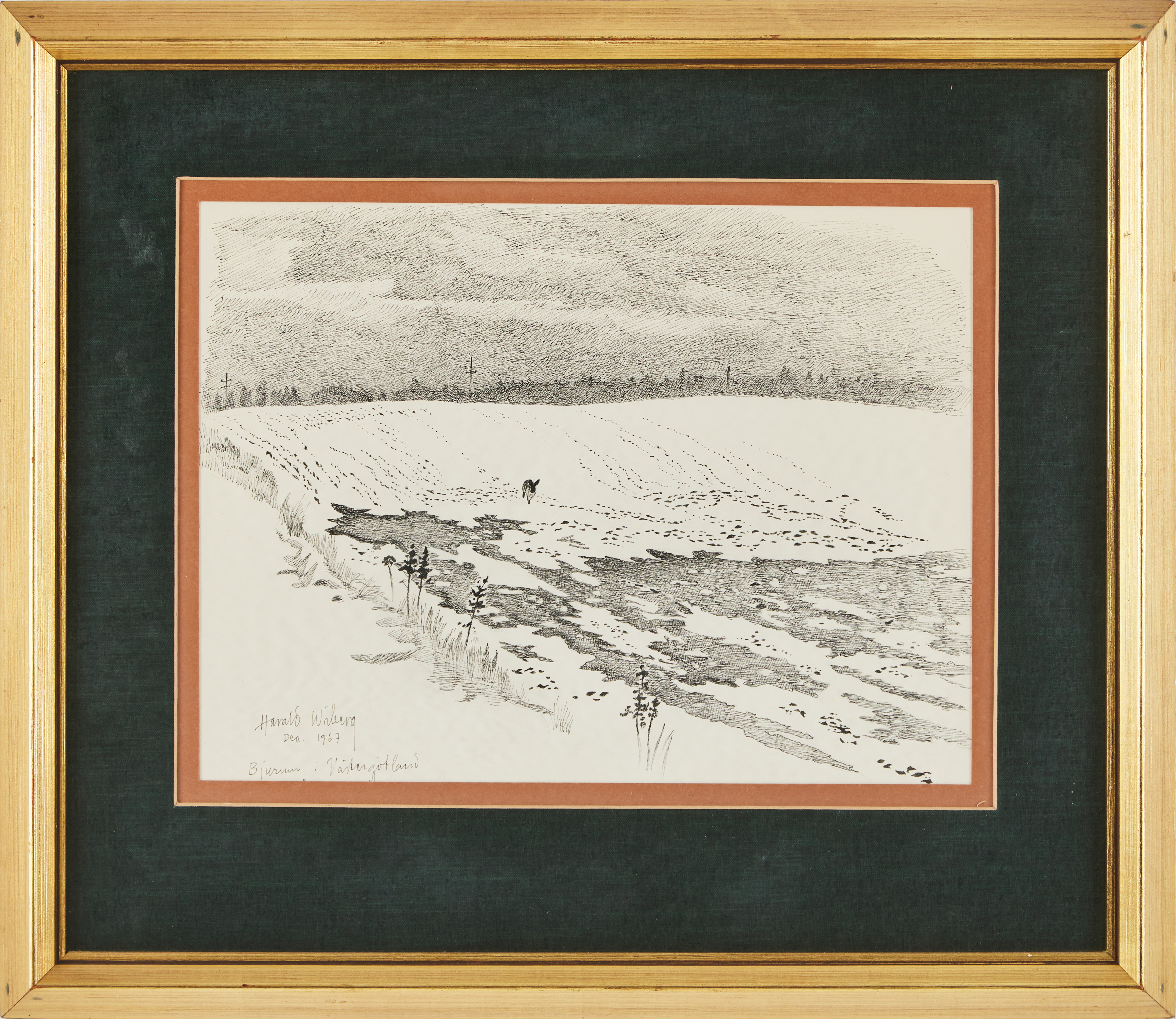 HARALD WIBERG. Bjurumshare, tusch, signerad, daterad 1967.
