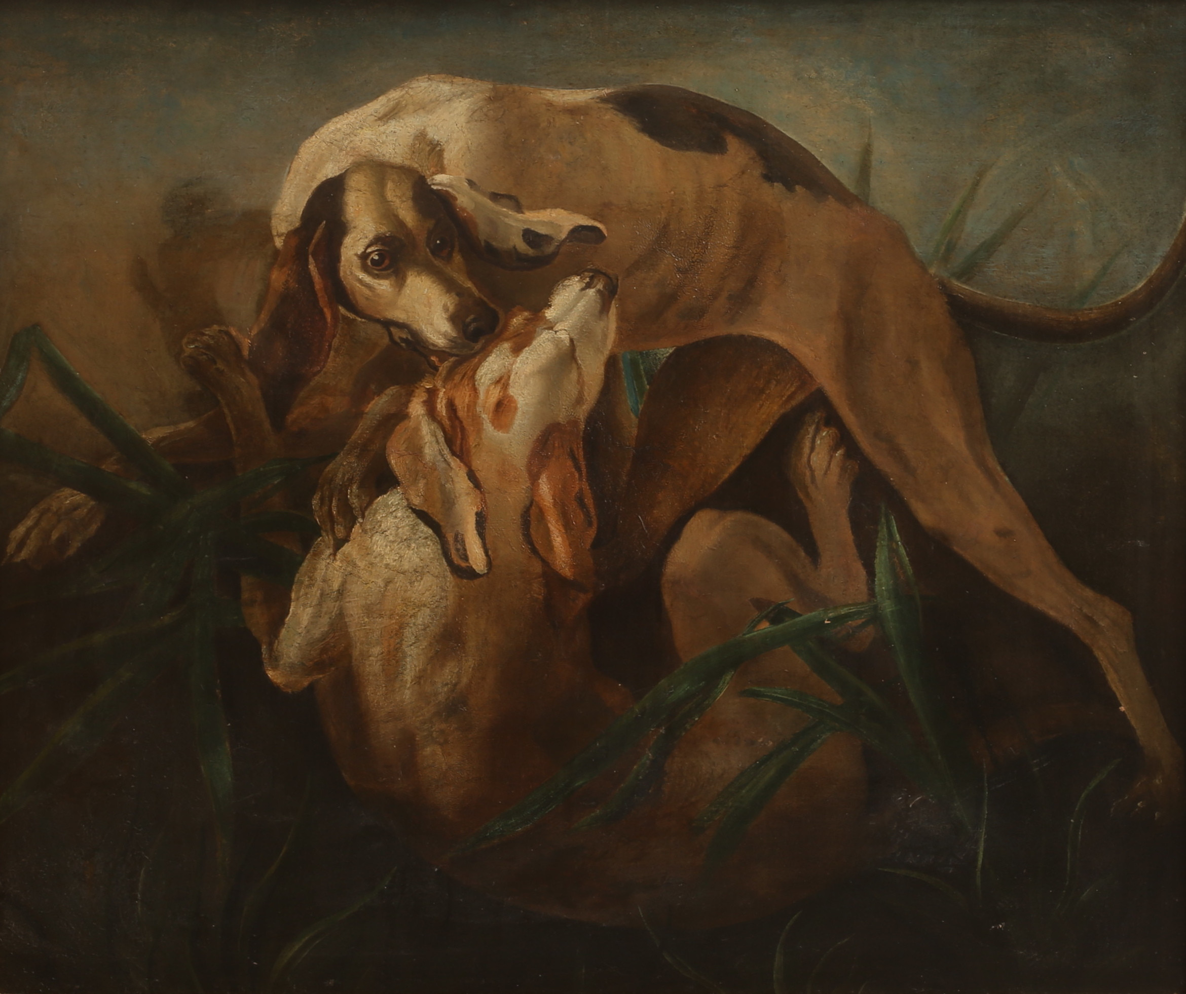 OKÄND KONSTNÄR, olja på duk, Hundar, 1800-tal.