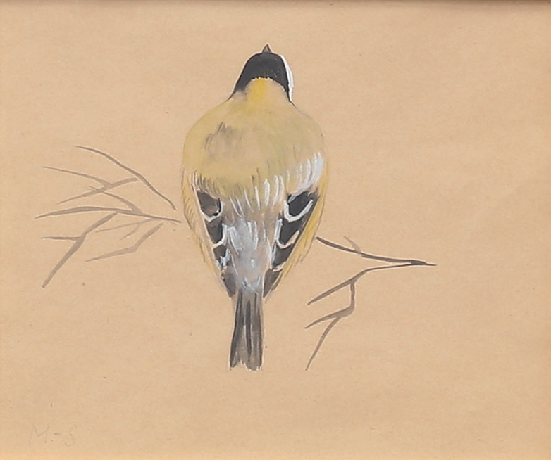 MOSSE STOOPENDAAL. Fågel, gouache, signerad M-S, brickmärkt.