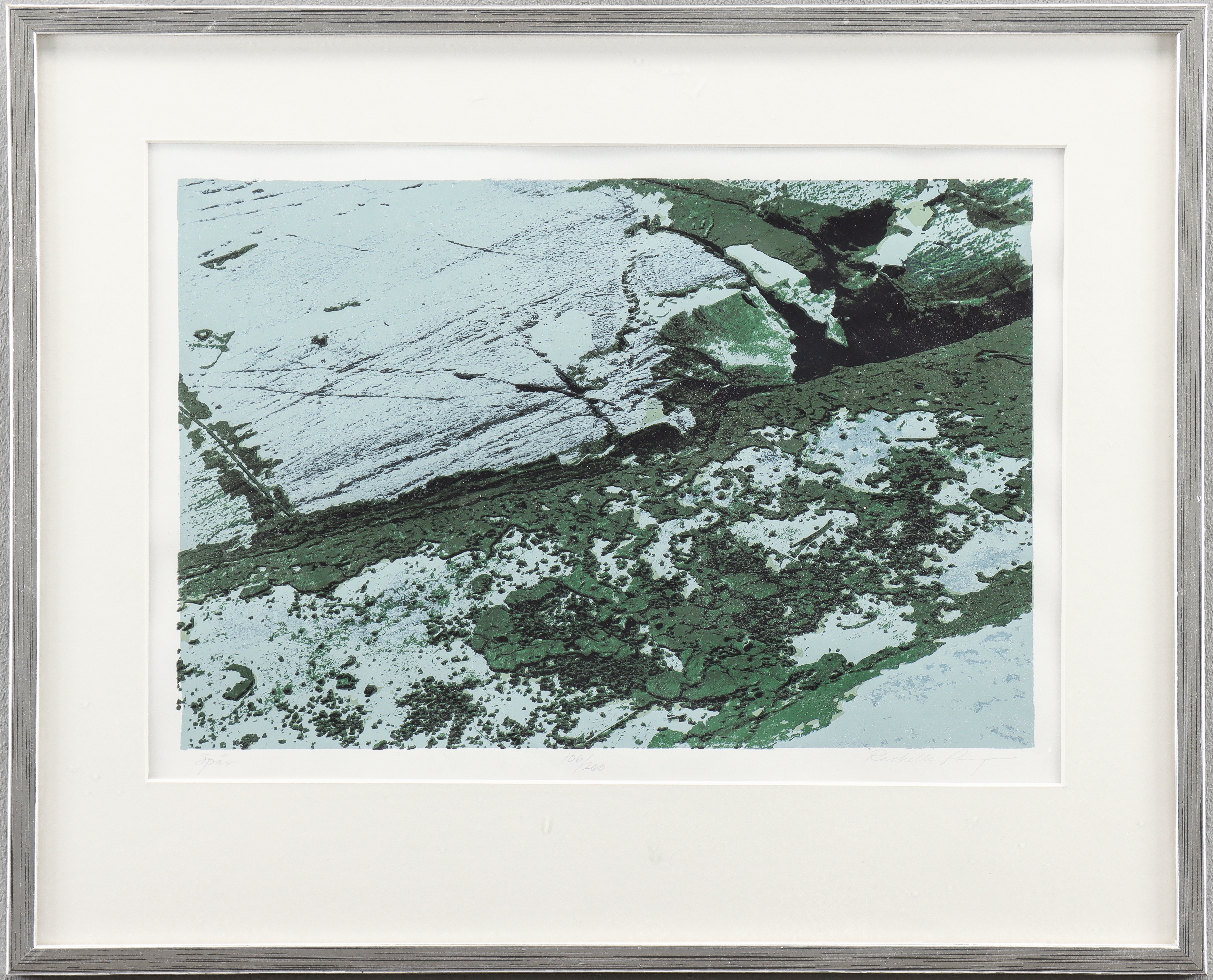 RACHELLE PURYEAR. Färglitografi106/260, signerad.