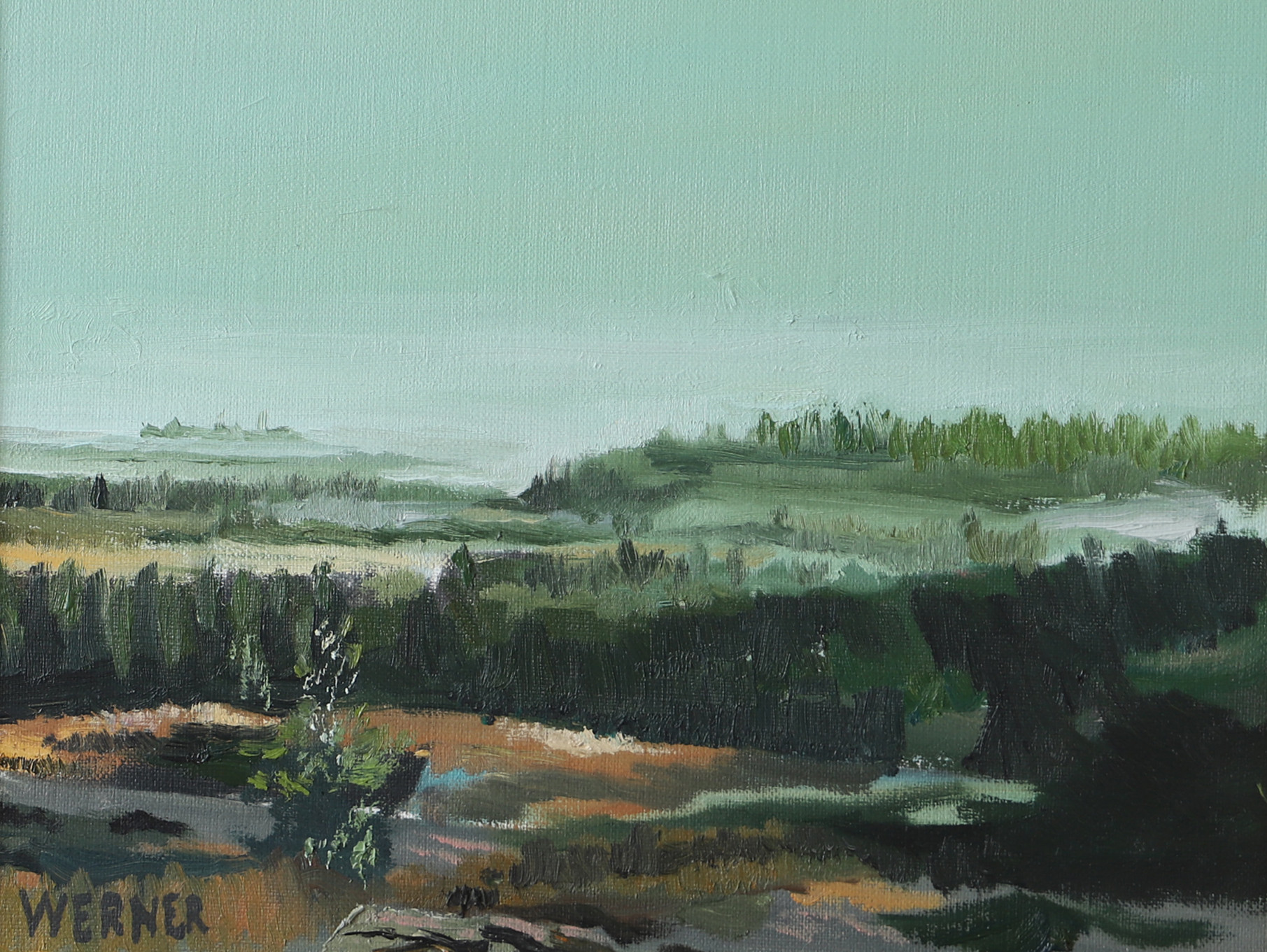OIDENTIFIERAD KONSTNÄR. Motiv från Söderåsen, olja på duk, signerad Werner.