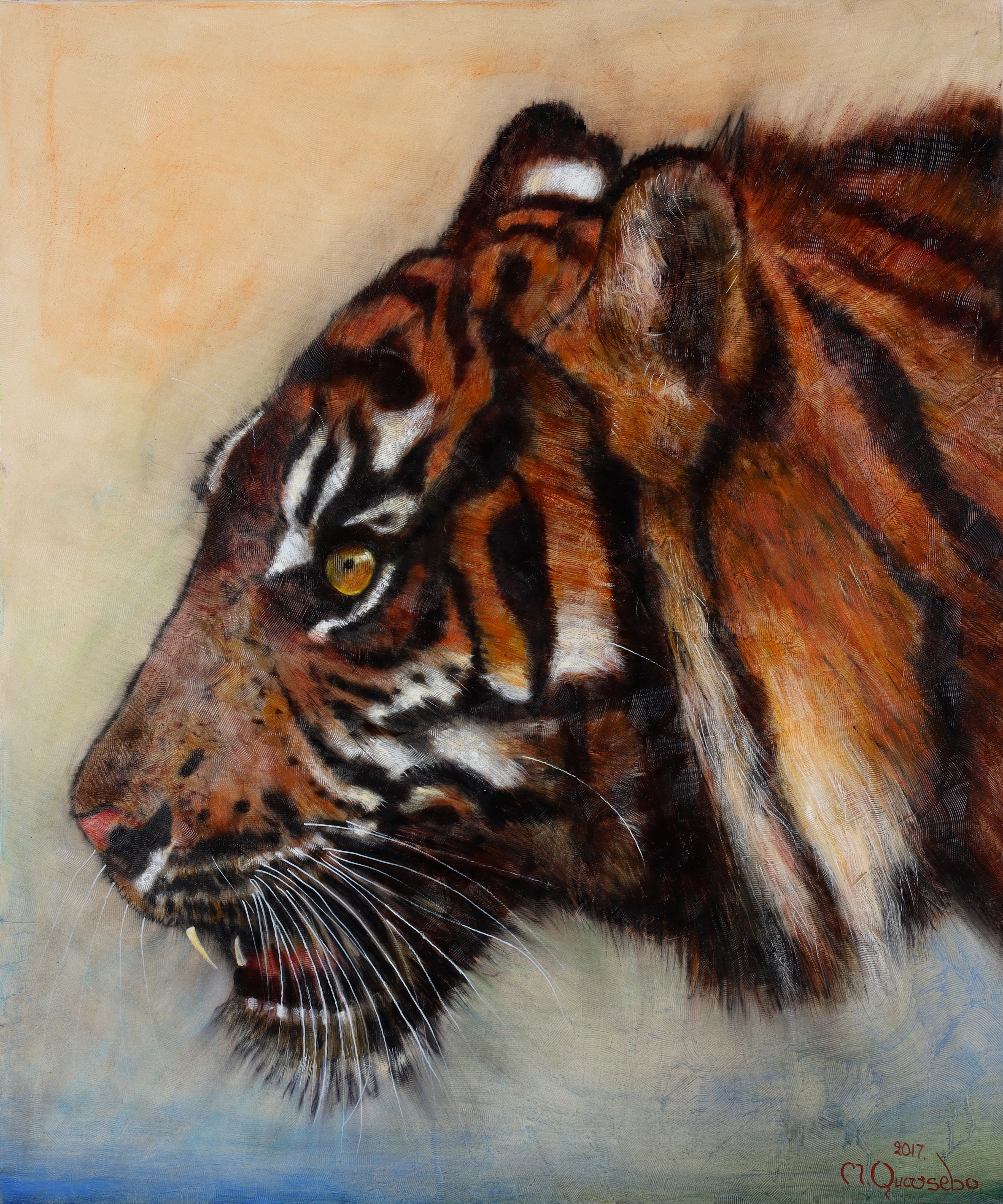 MICHAEL QVARSEBO. "Female Tiger head", olja på duk, signerad och daterad 2017.