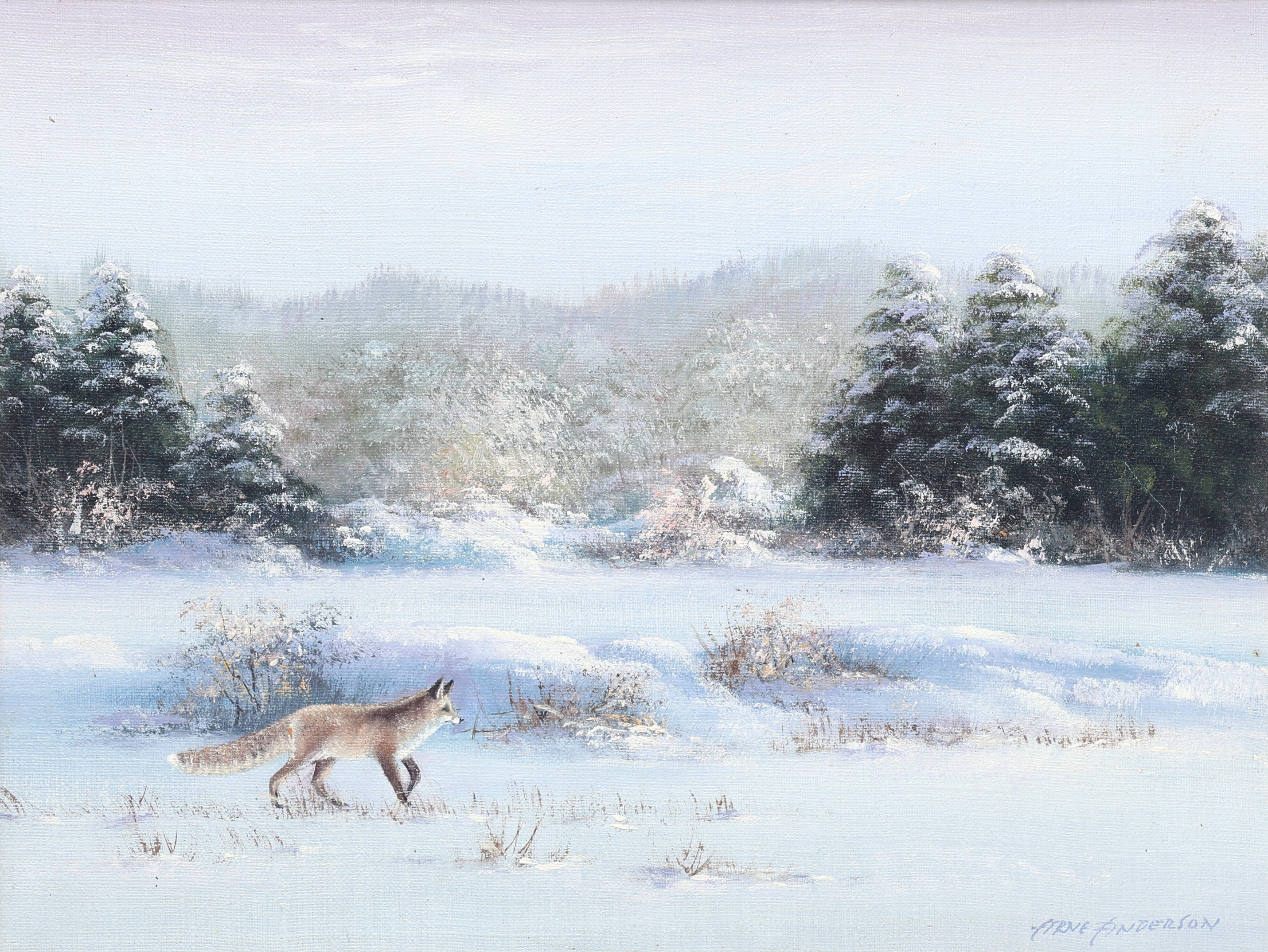 ARNE ANDERSSON. Olja på duk, räv i vinterlandskap, signerad.