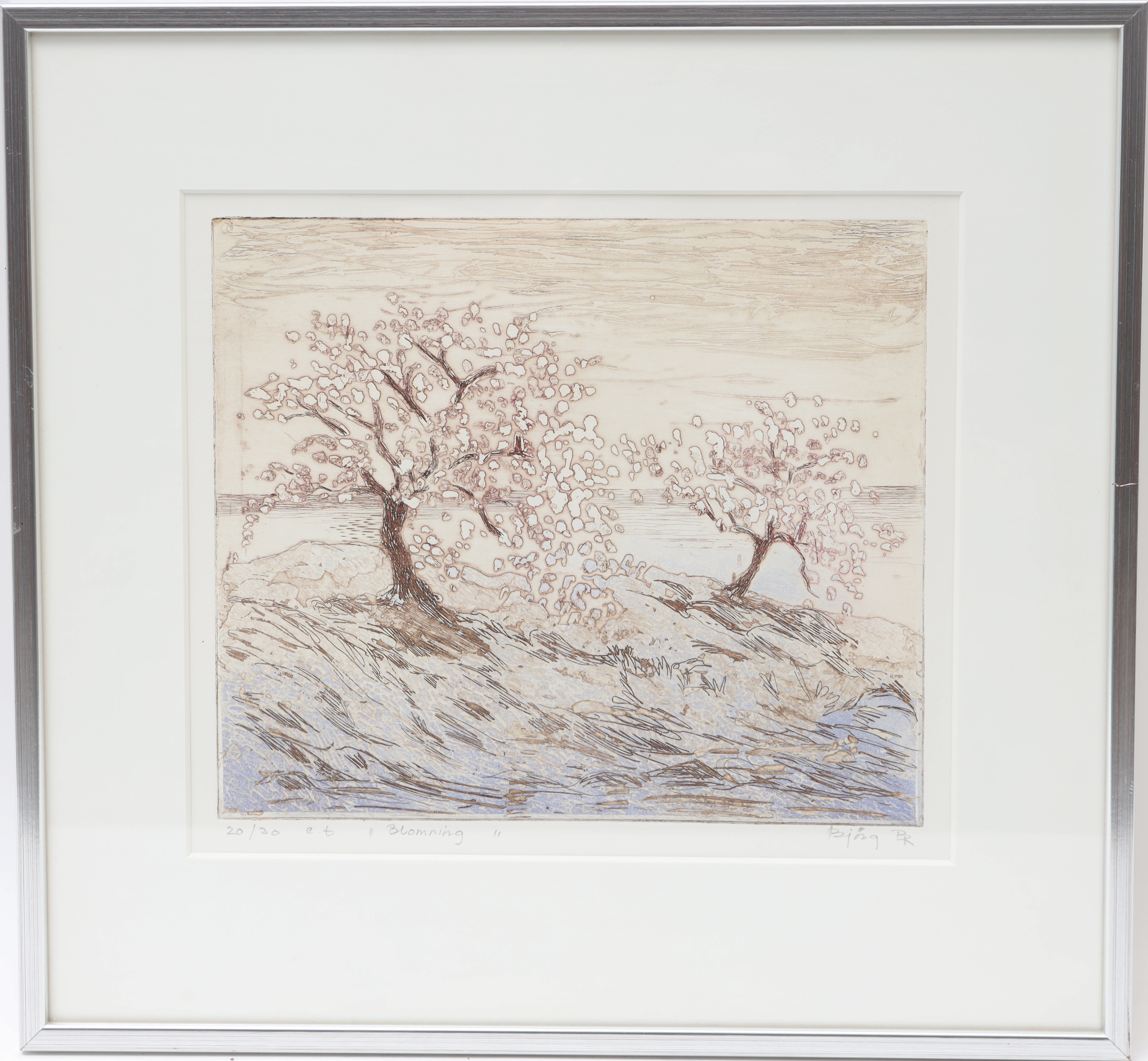 BJÖRG BENDIKSEN-ROMÁN. "Blomning" färgetsning, signerad och numrerad.