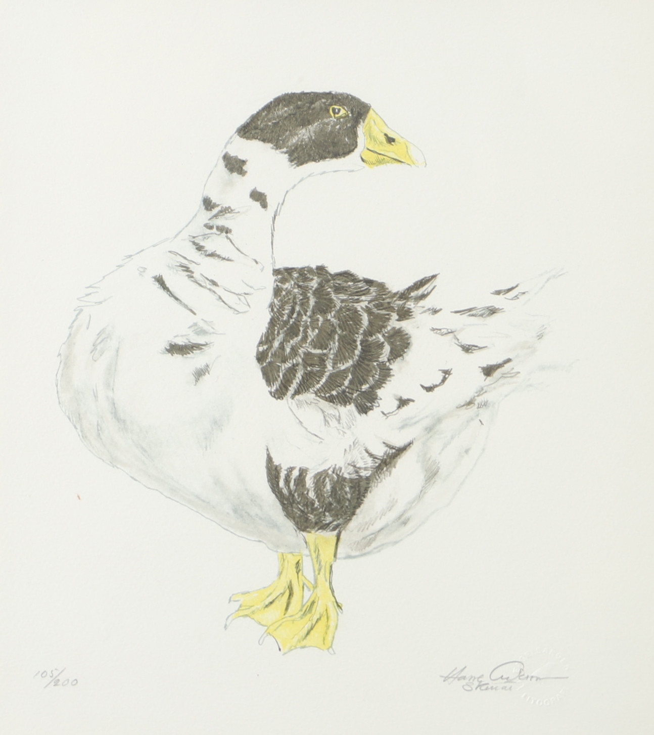 HASSE ANDERSSON. Gås, färglitografi, signerad.