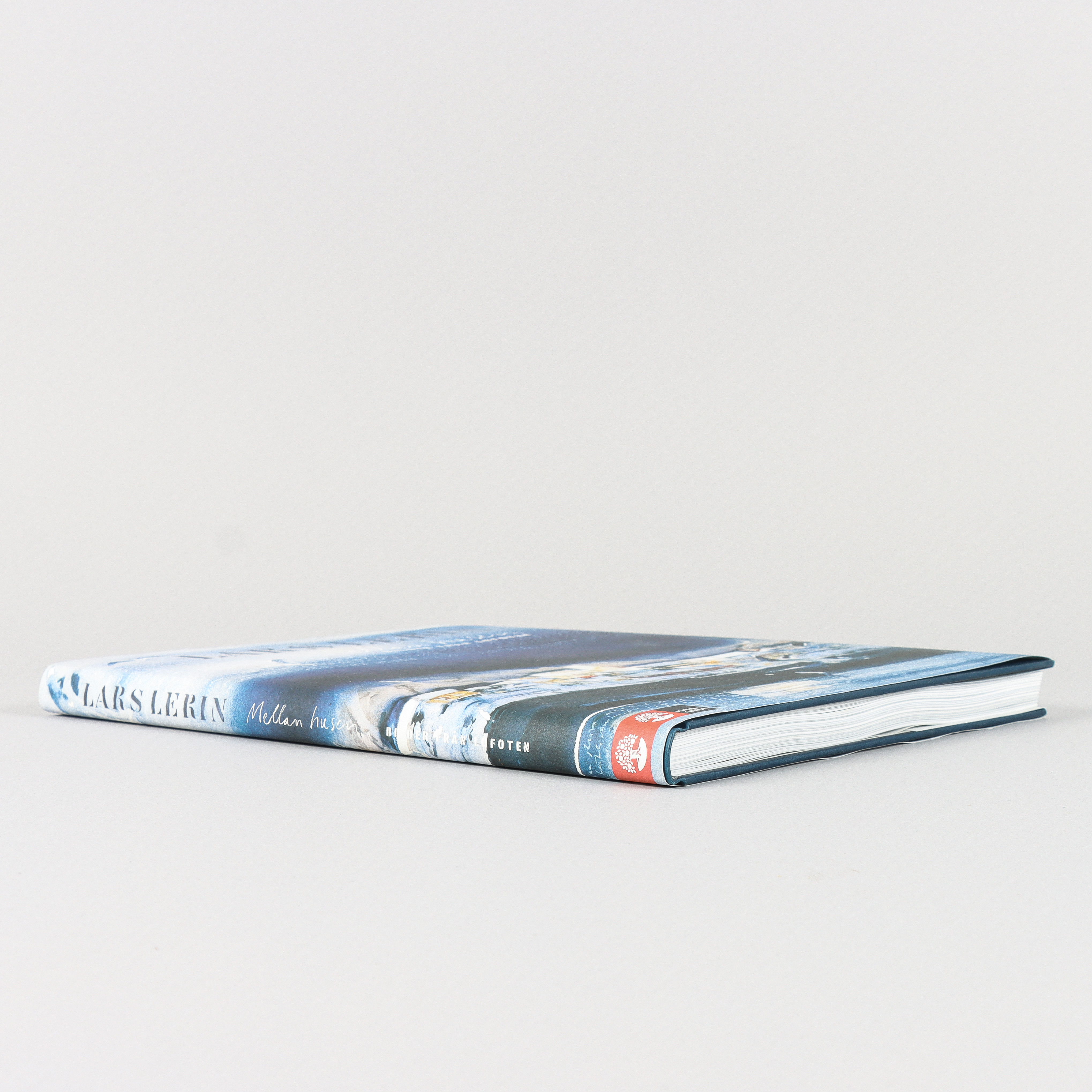 BOK Lars Lerin: Mellan husen.