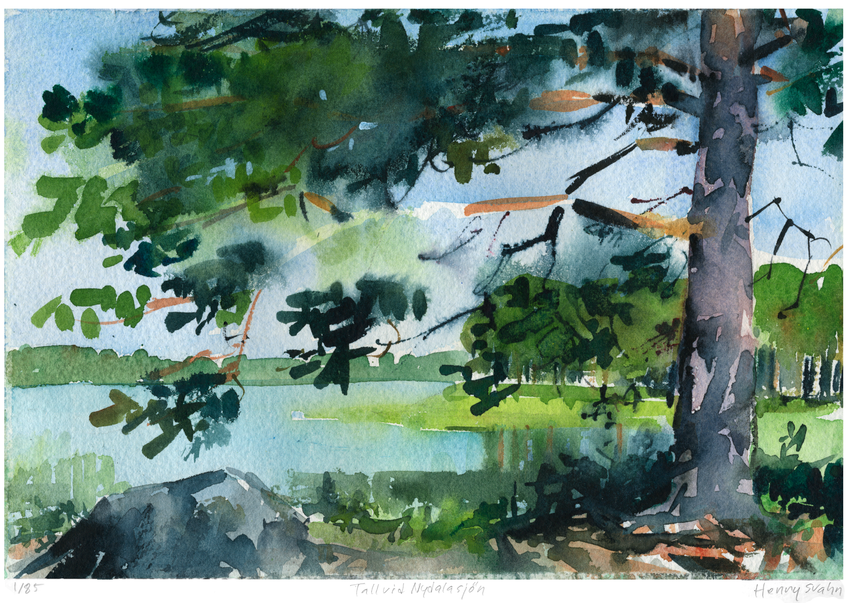 HENRY SVAHN. Fine Art Print, "Tall vid Nydalasjön", Signerad och Numrerad: 1/85.