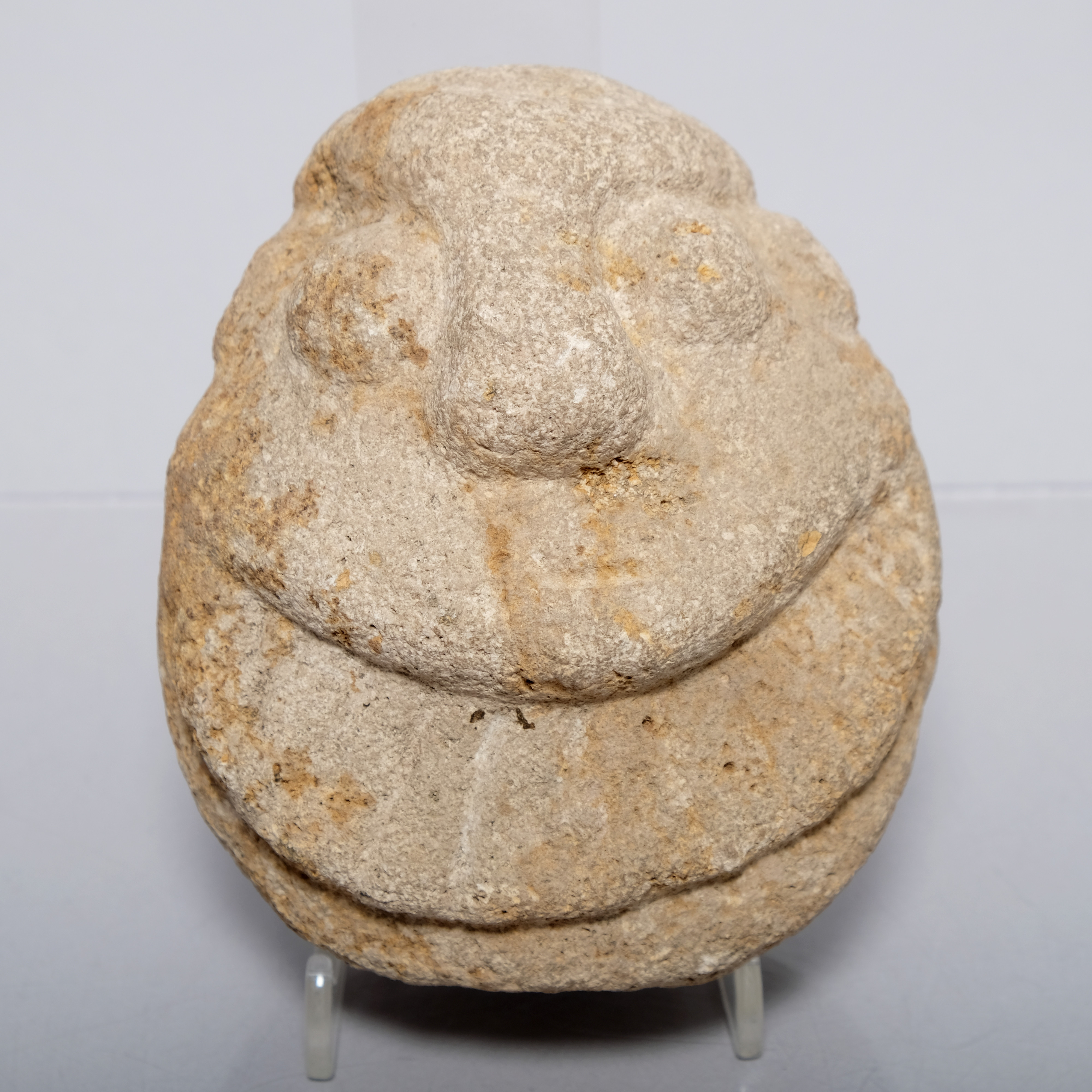 SKULPTUR, Chavin-kulturen, ca 900-200 f Kr. Peru, Vulkanisk bergart.