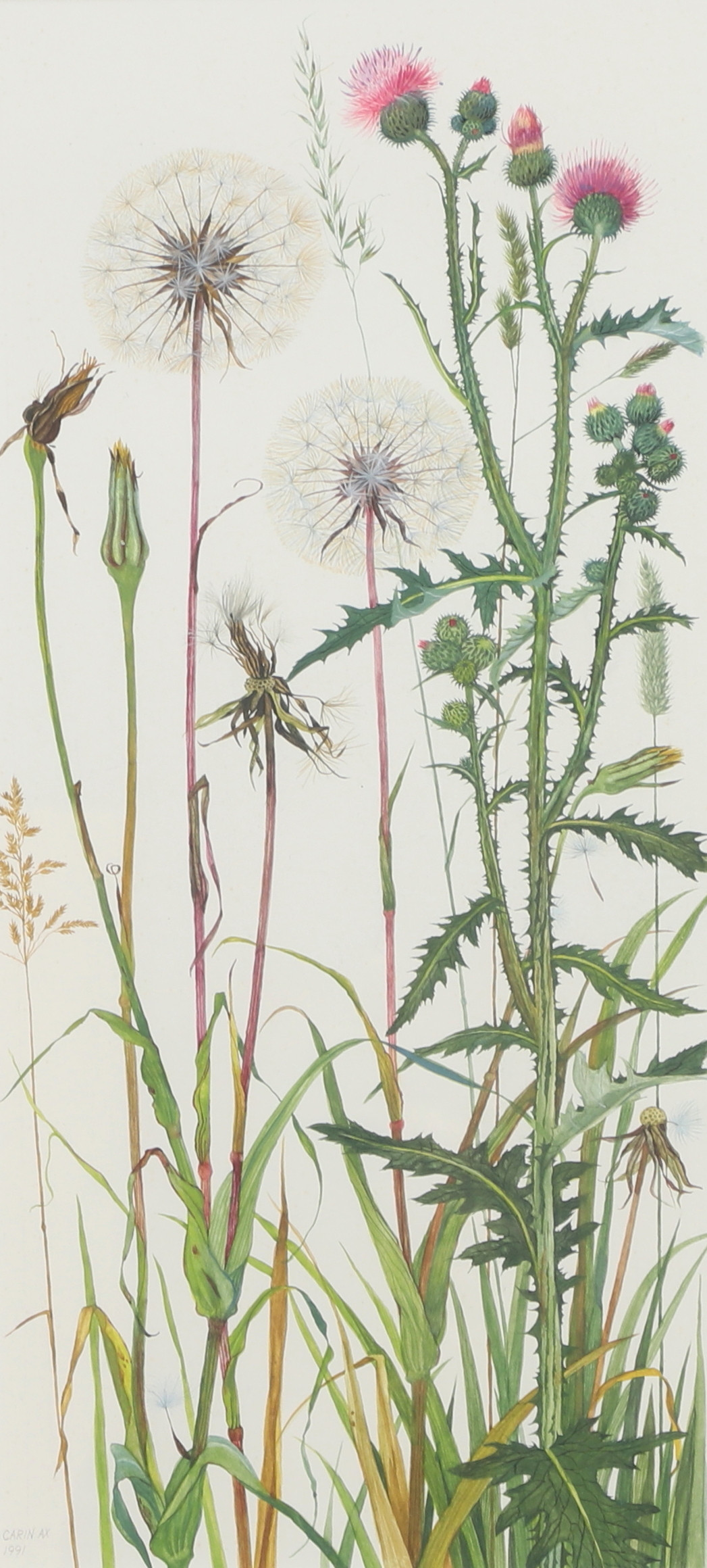 CARIN AX. Akvarell, blommor, signerad, daterad 1991.
