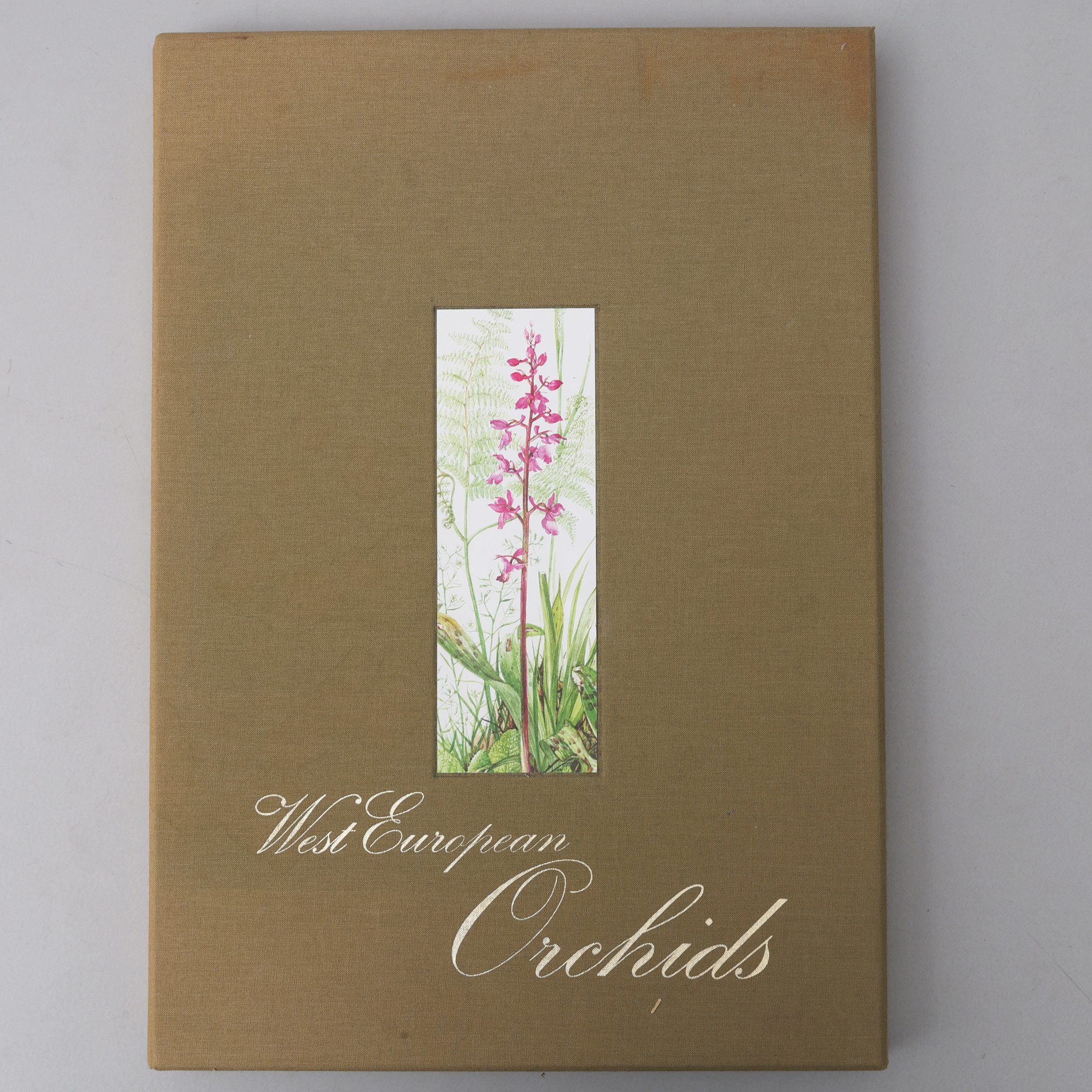 BOTANIK. DEN BELGISKA KONSTNÄREN ELIZA KLOPFENSTEINS VERK WEST EUROPEAN ORCHIDS MED 60 KOLORERADE PLAN SCHER MED ORKIDEER.