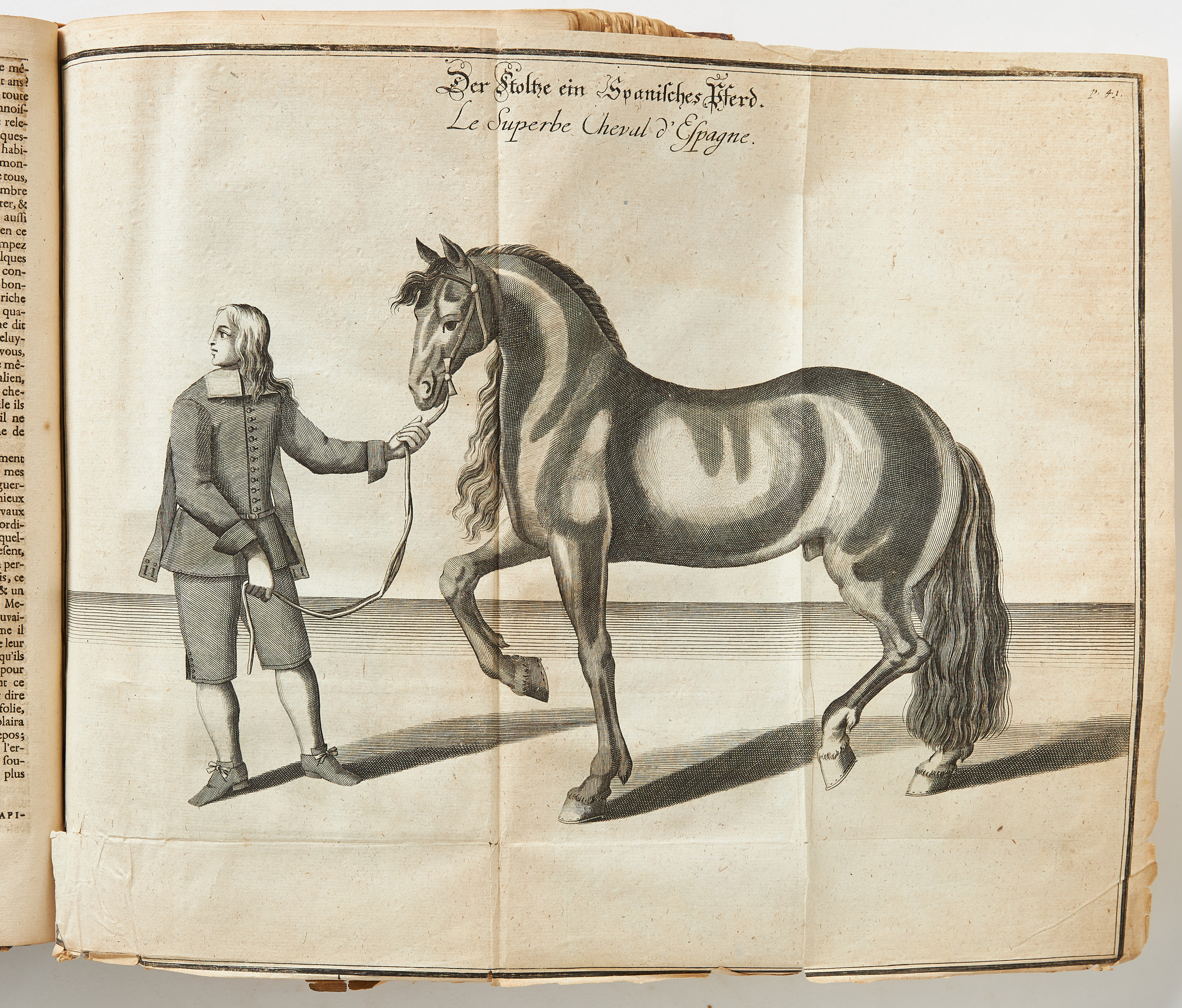 NEWCASTLE' S Neu-eröffnete Reit-Bahn, 1700, & WINTER'S WORK ON HORSE BREEDING, 1703.